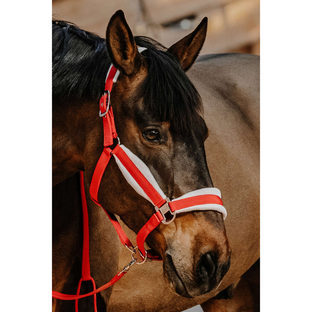 EQUITHÈME Halter Set Christmas Red