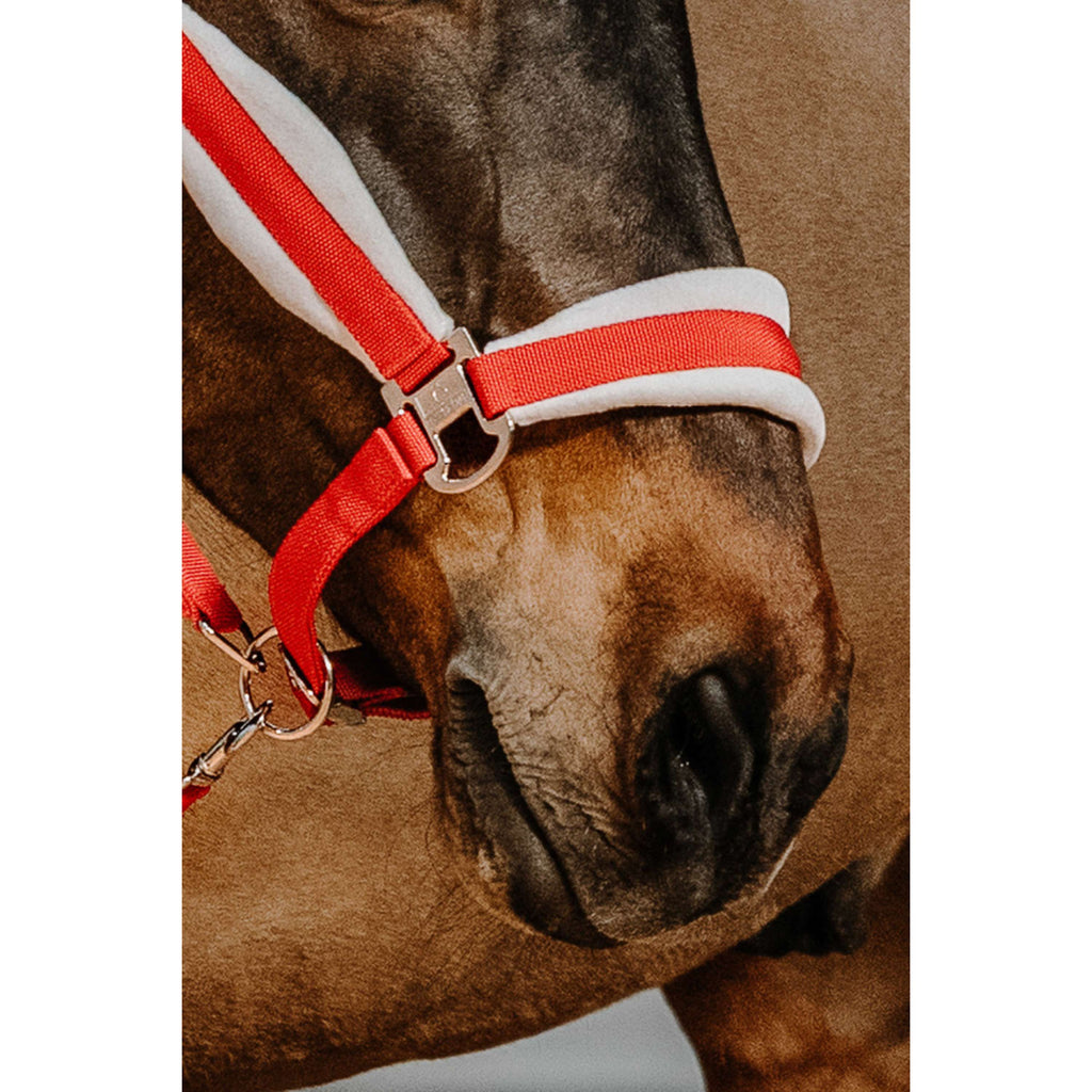 EQUITHÈME Halter Set Christmas Red