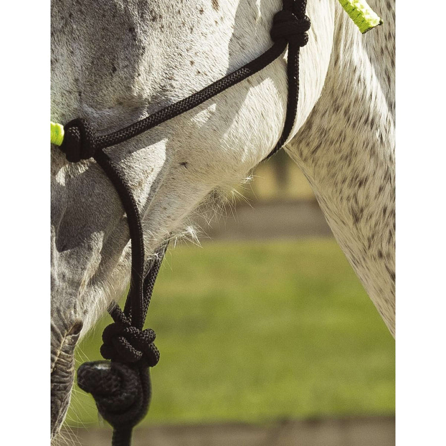 Norton Rope Halter Set Fun Colour Ethologically Black/Neon Green