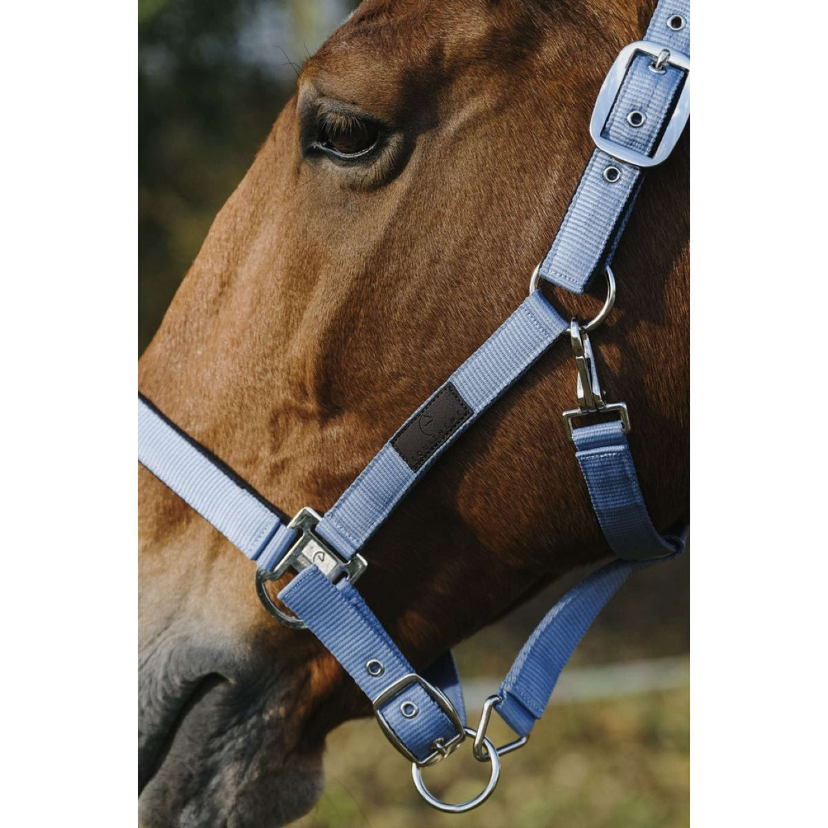 EQUITHÈME Halter Spring Nylon Blue