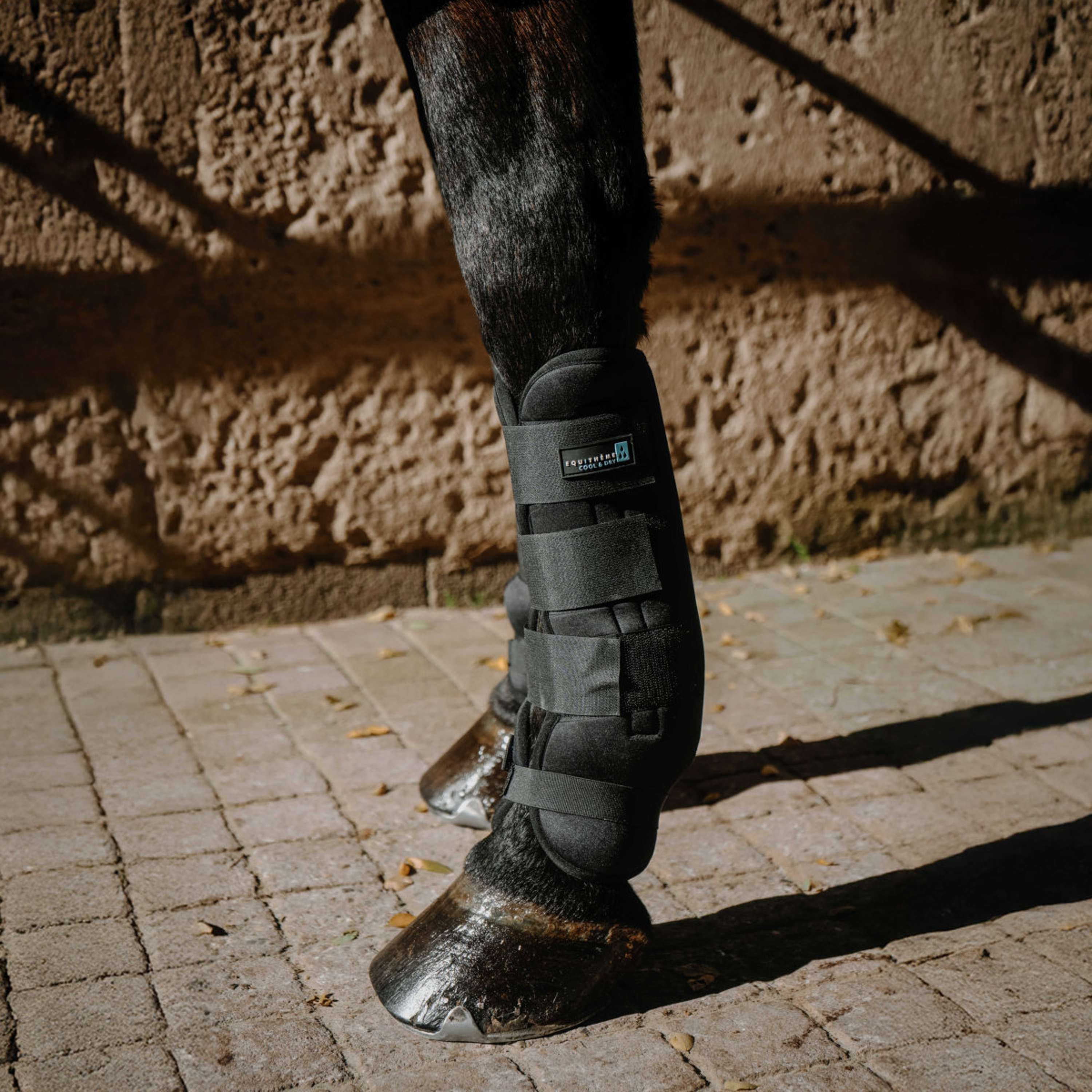EQUITHÈME Tendon Boots Cool&Dry Black