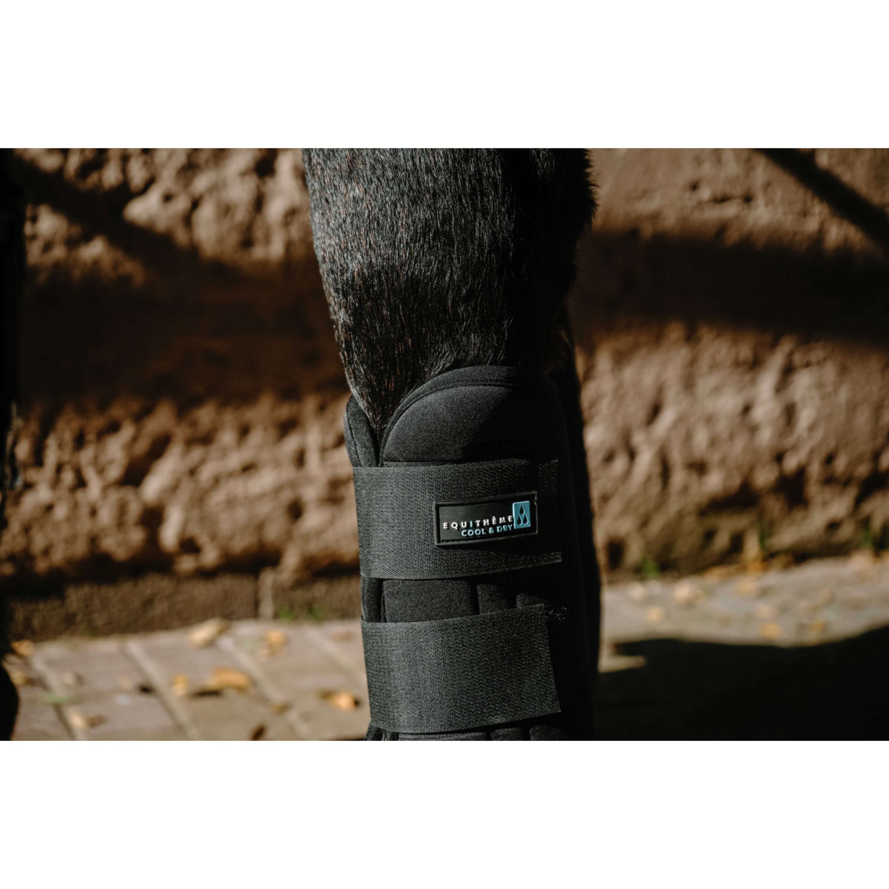 EQUITHÈME Tendon Boots Cool&Dry Black