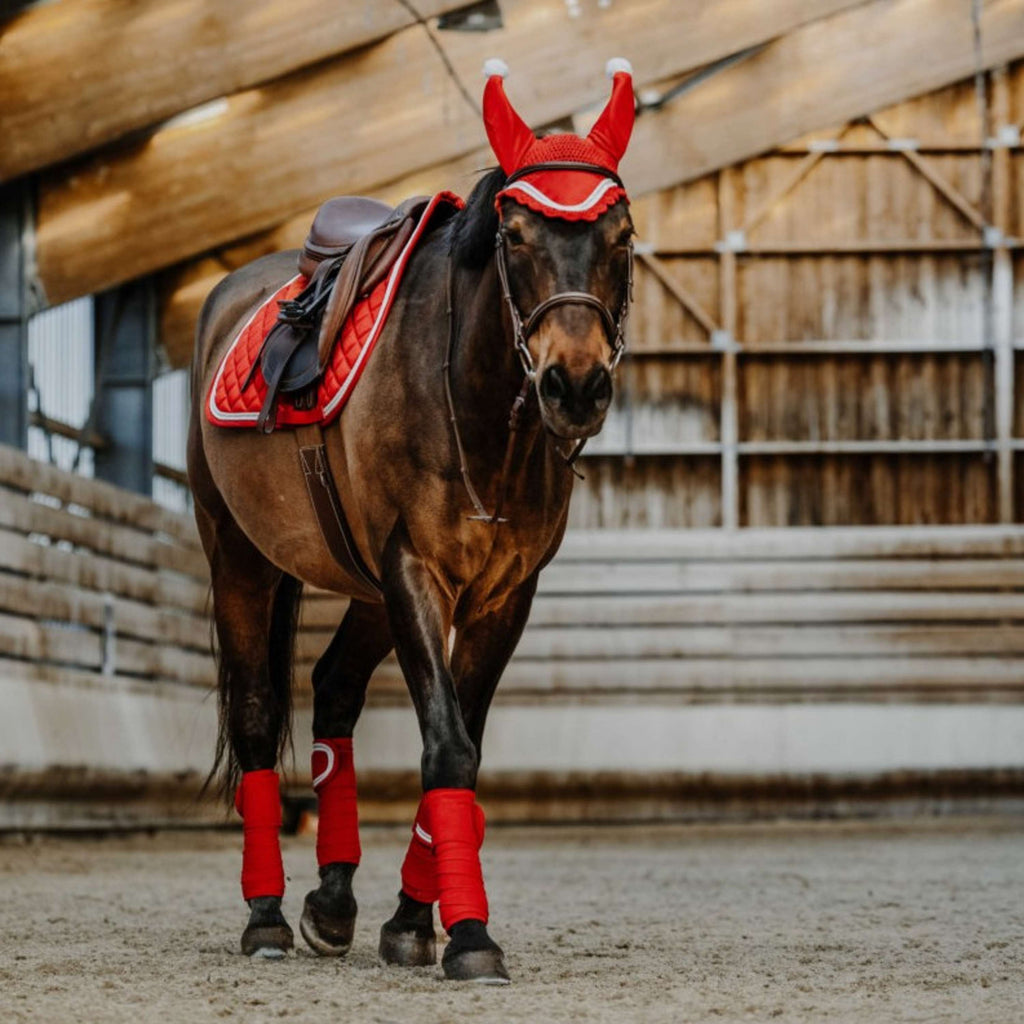 EQUITHÈME Bandages Christmas Red