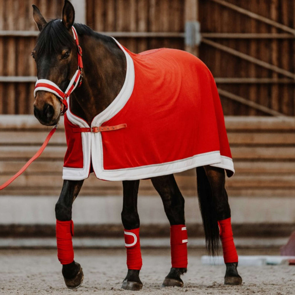 EQUITHÈME Bandages Christmas Red