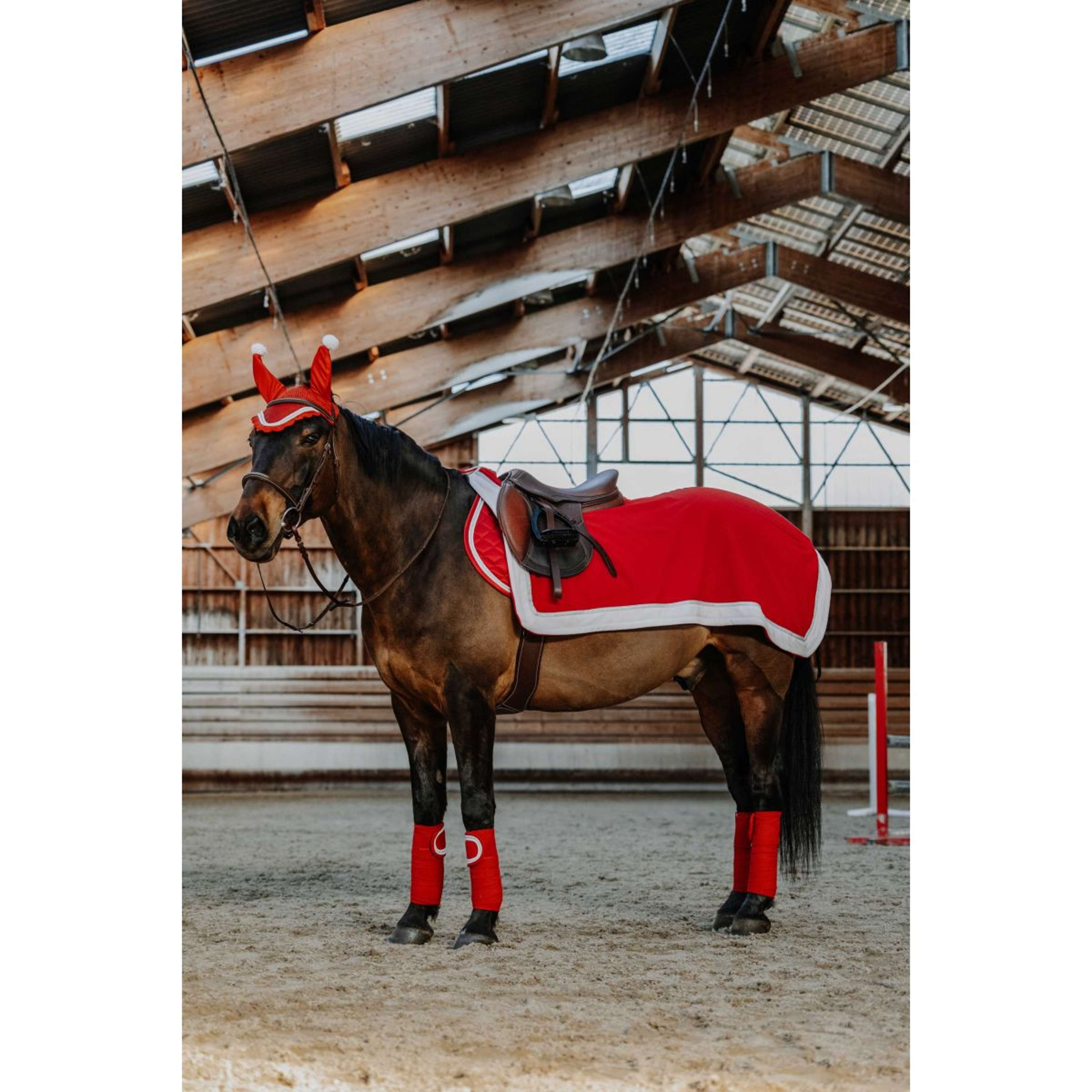 EQUITHÈME Ear Bonnet Christmas Red | Agradi.com
