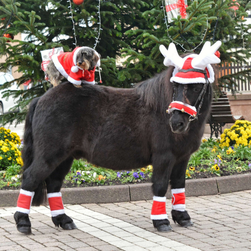 EQUITHÈME Reindeer Antler Christmas Hat Red