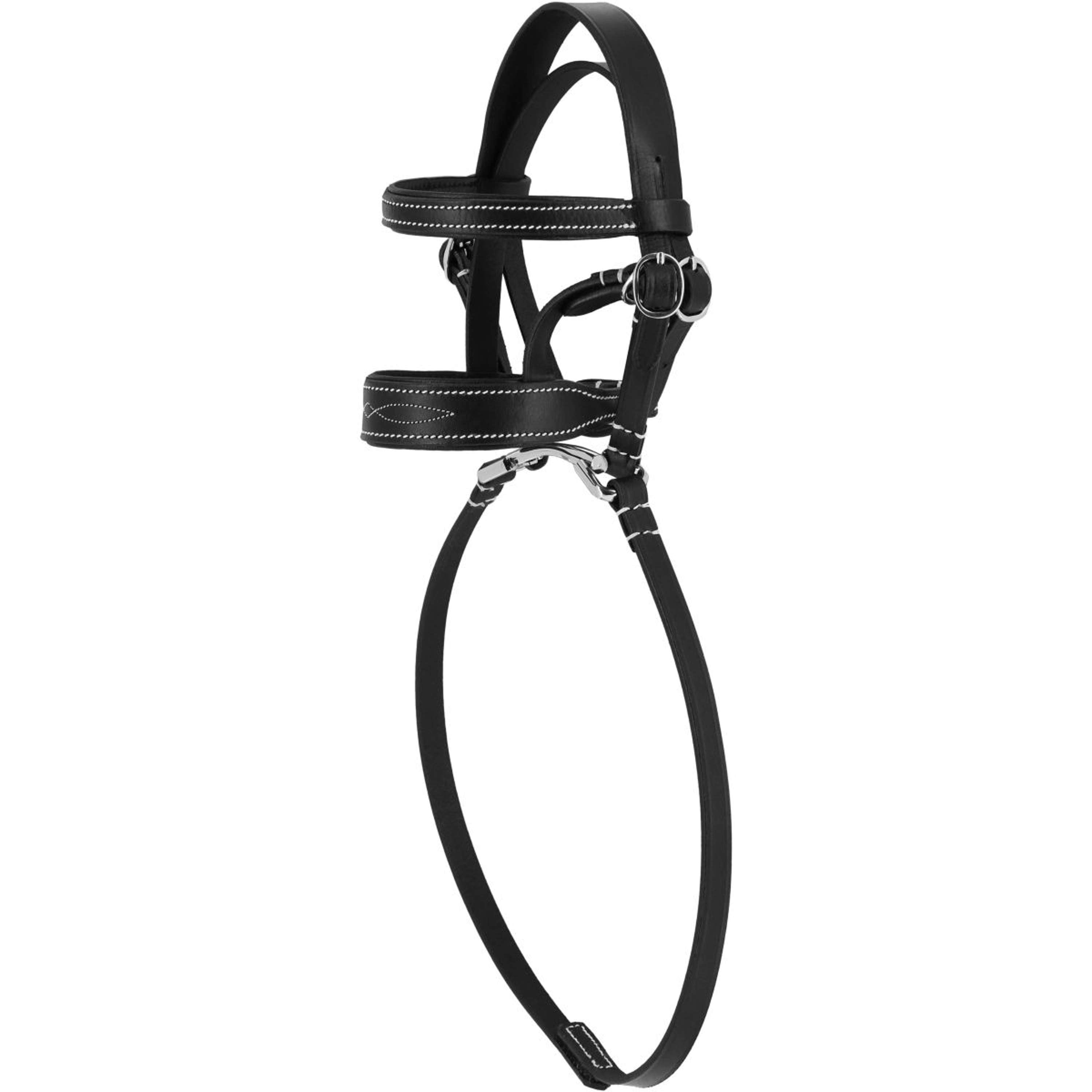 EQUITHÈME Pony Academy Bridle Black
