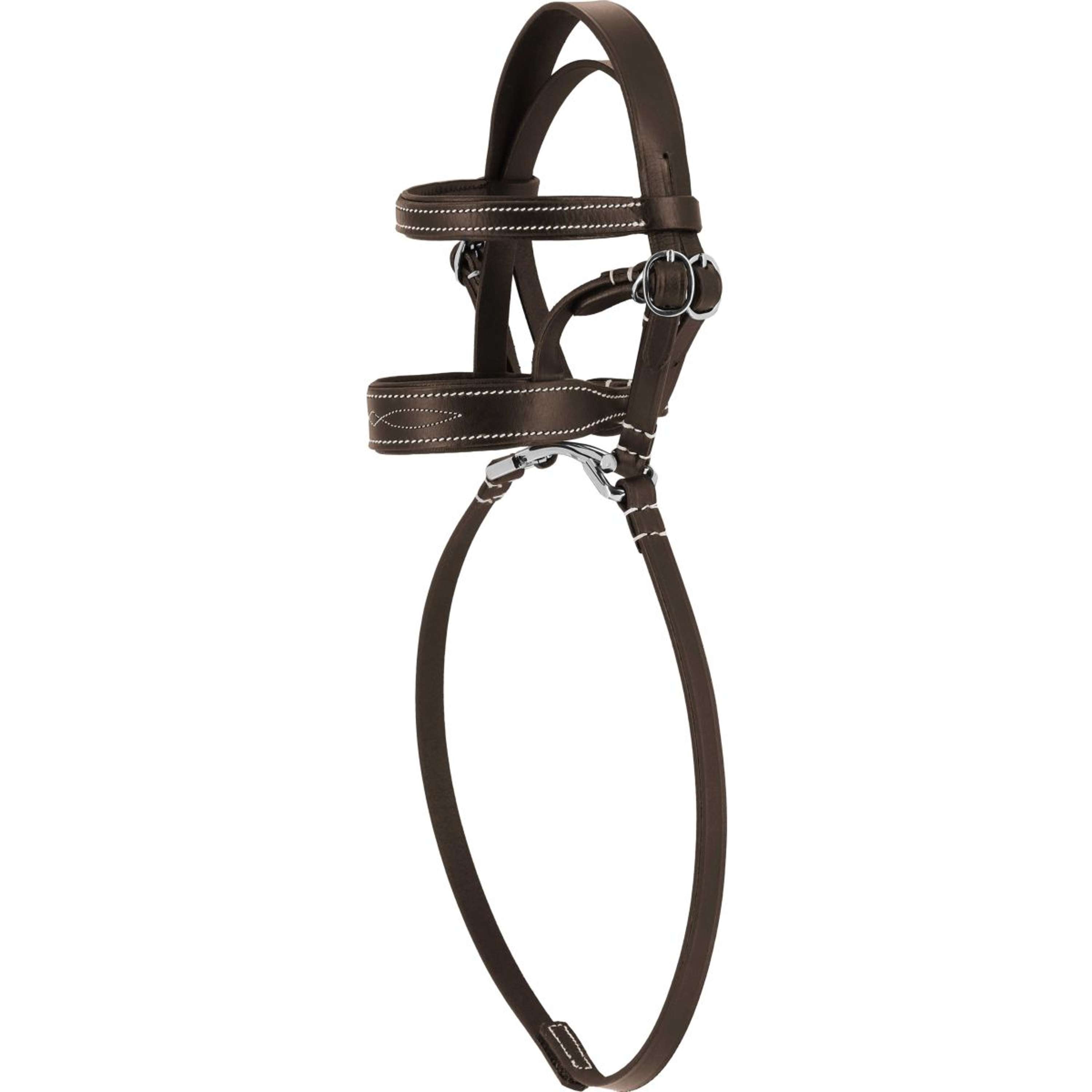 EQUITHÈME Pony Academy Bridle Havana