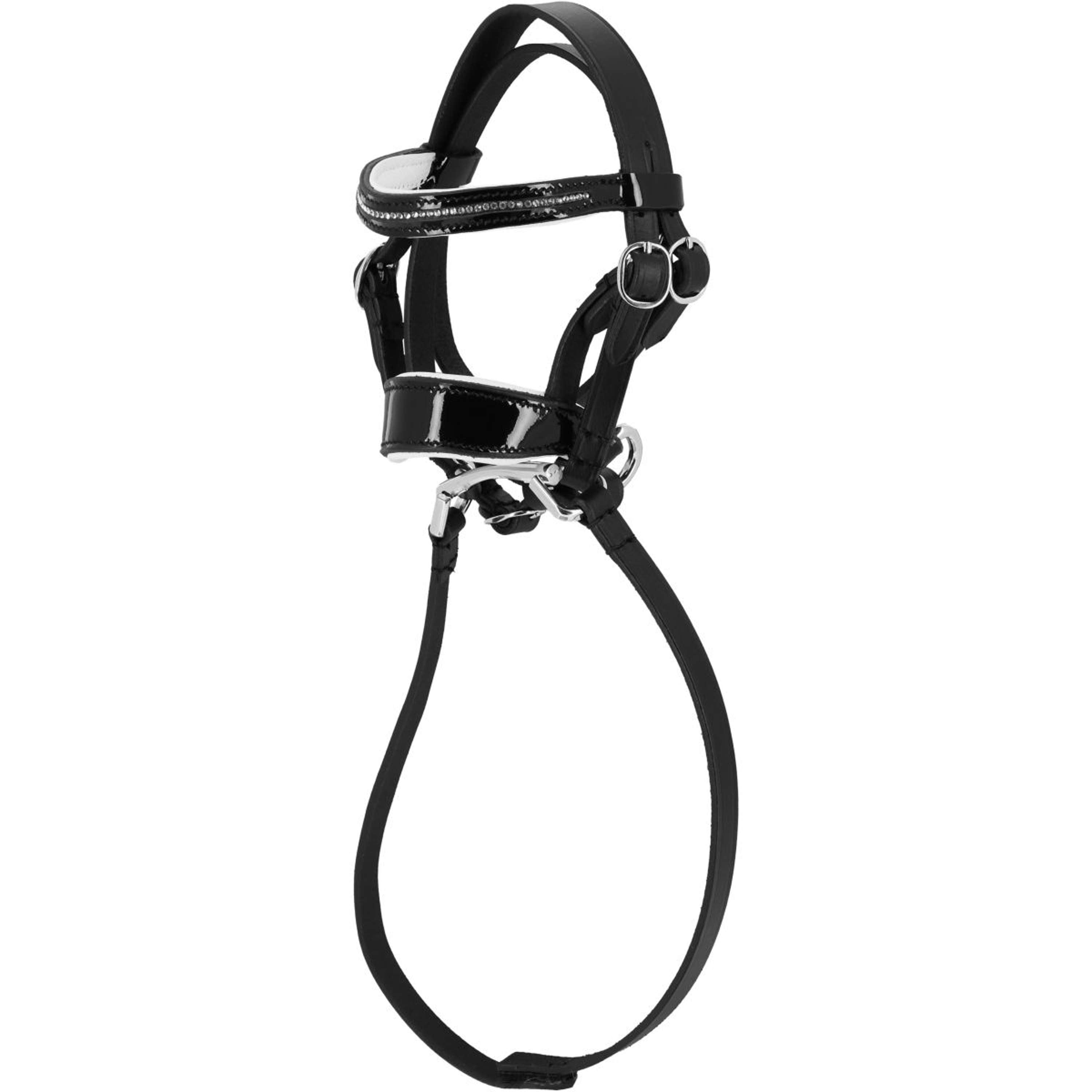 EQUITHÈME Pony Academy Bridle Dressage Black