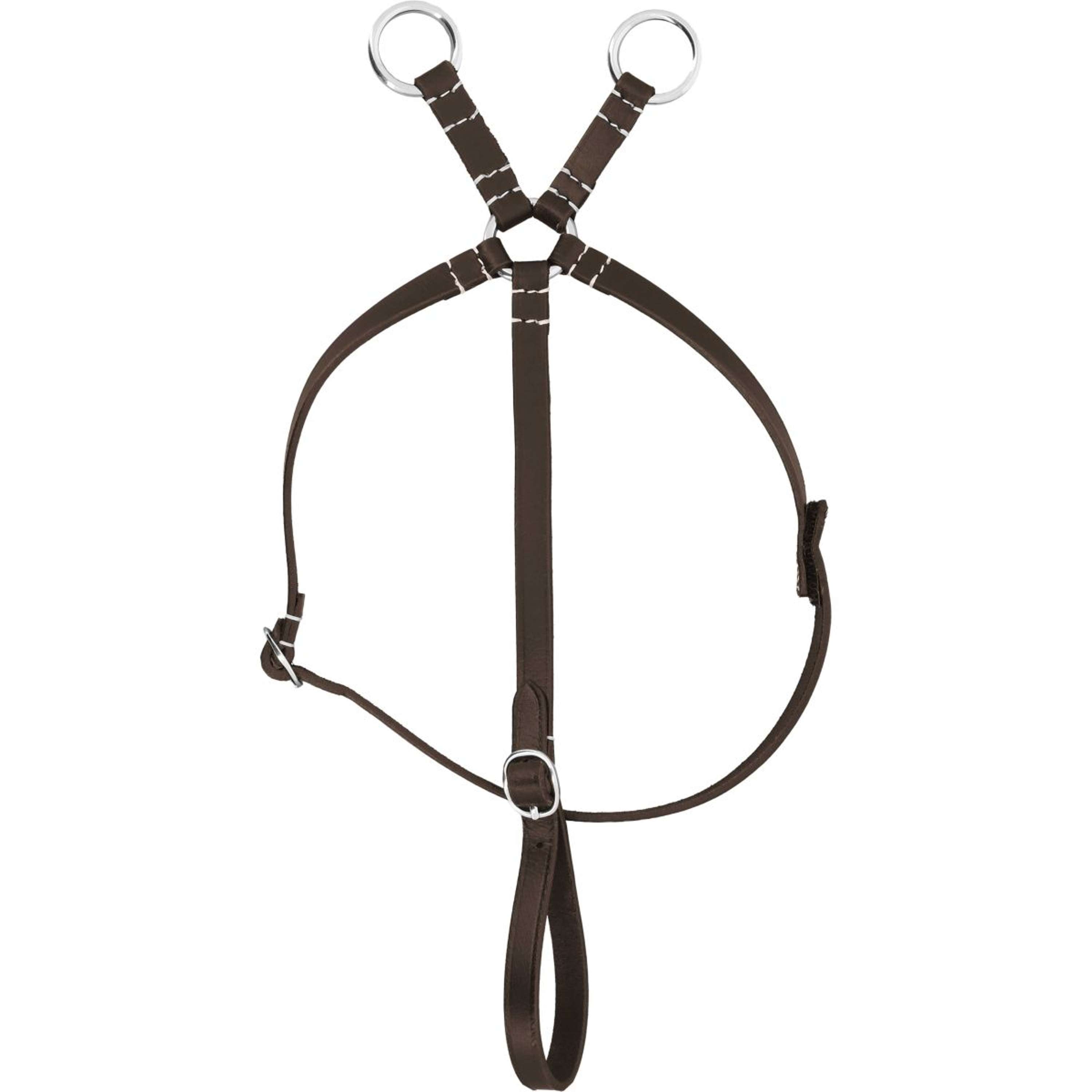 EQUITHÈME Pony Academy Martingale Havana