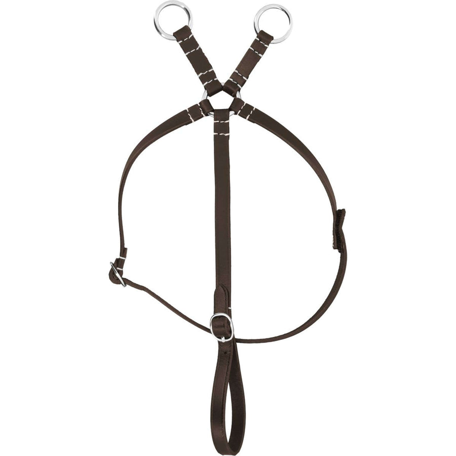 EQUITHÈME Pony Academy Martingale Havana