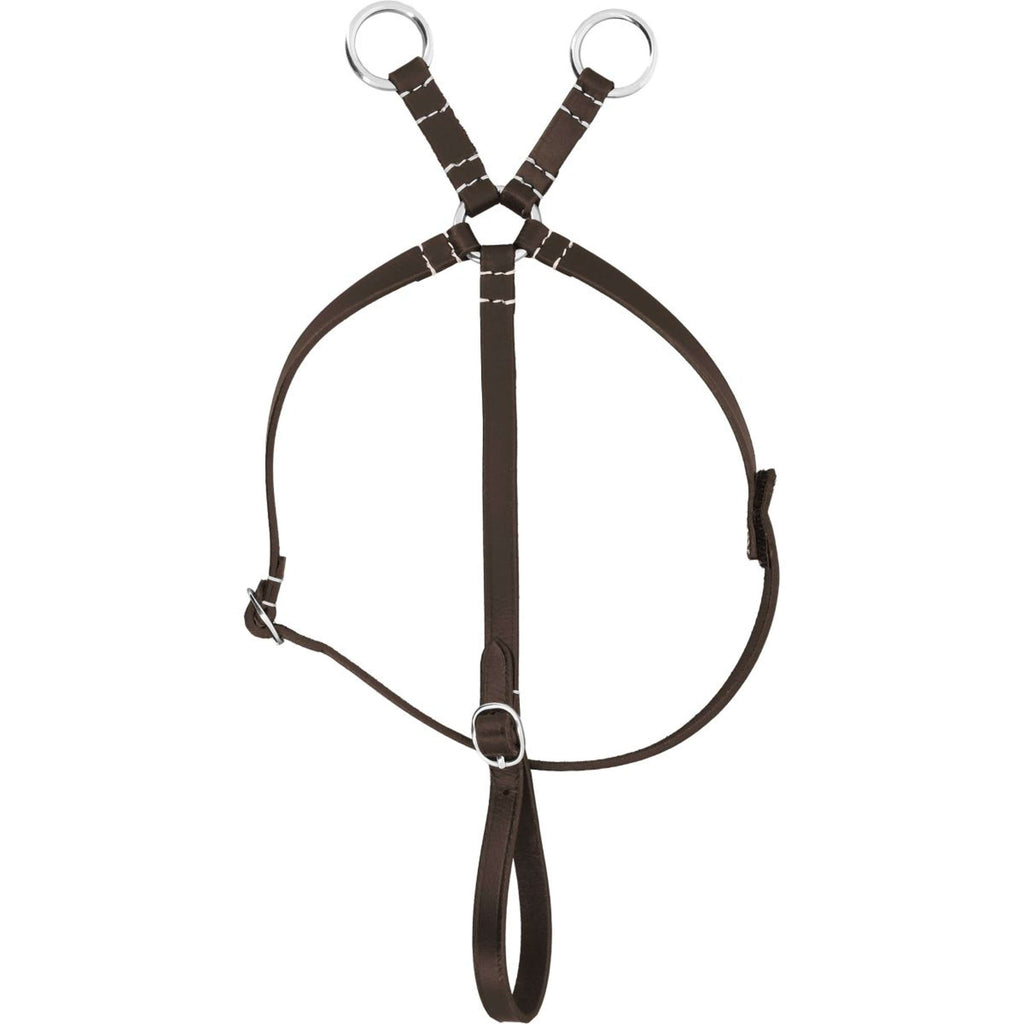 EQUITHÈME Pony Academy Martingale Havana