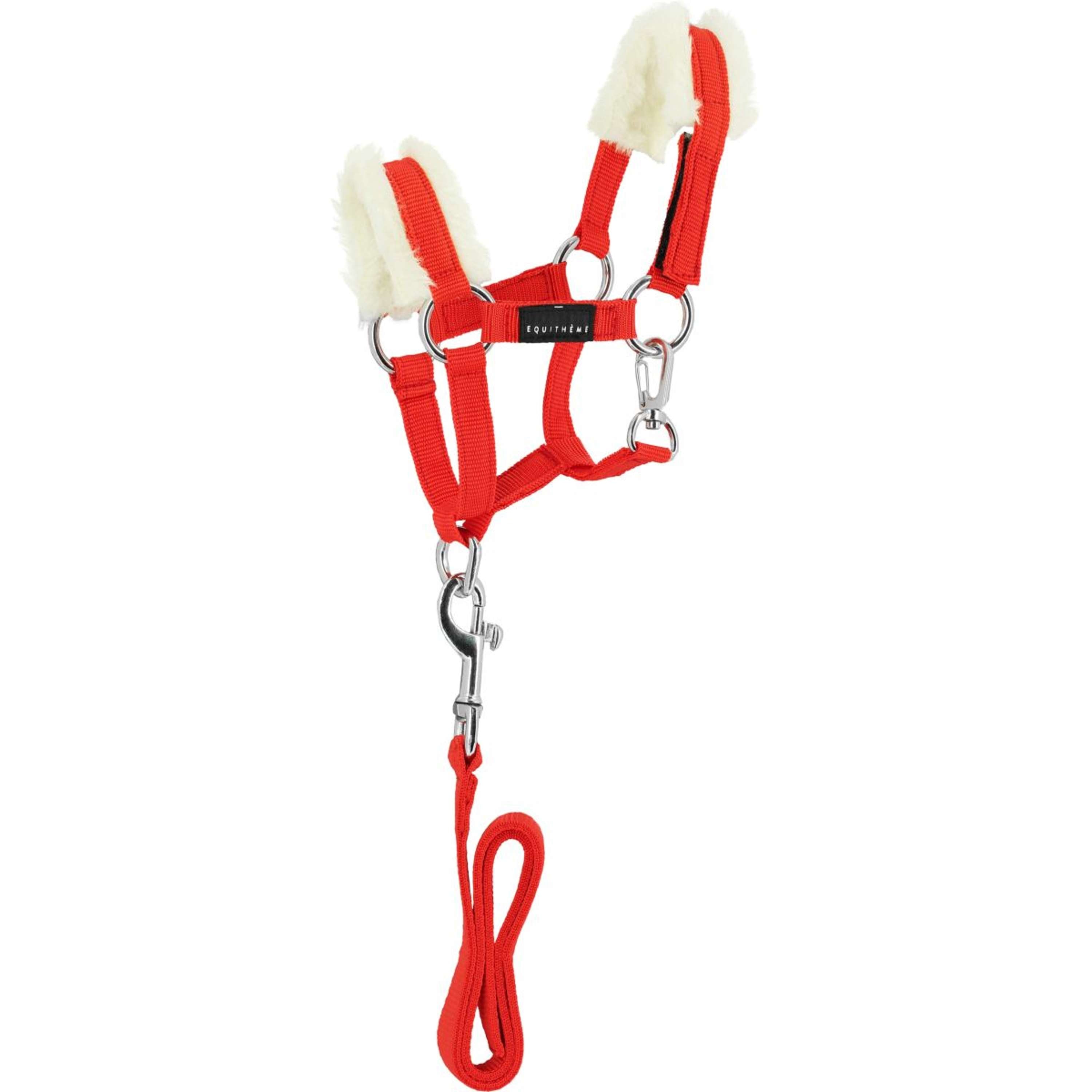 EQUITHÈME Pony Academy Head Collar Set Red