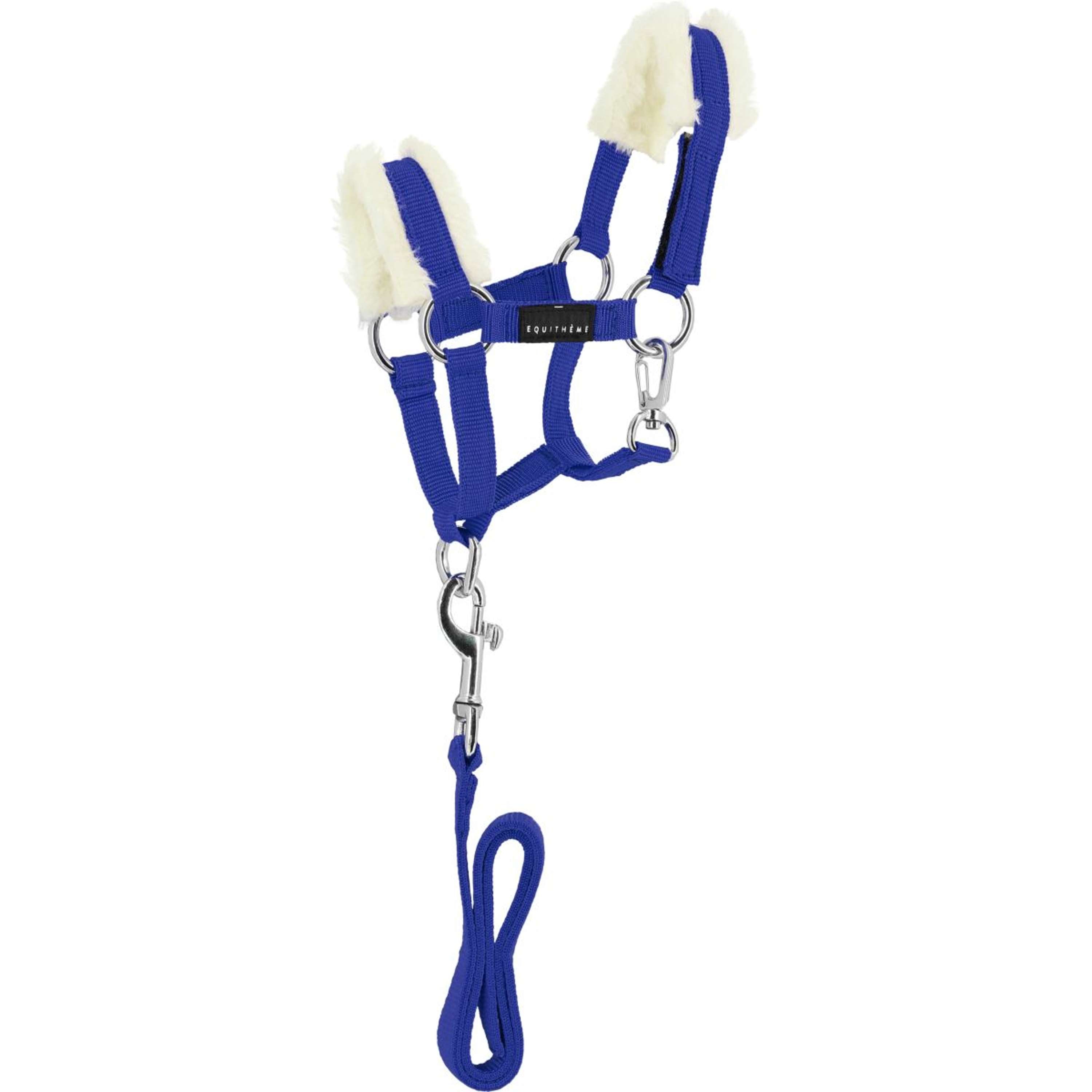EQUITHÈME Pony Academy Head Collar Set Royal Blue