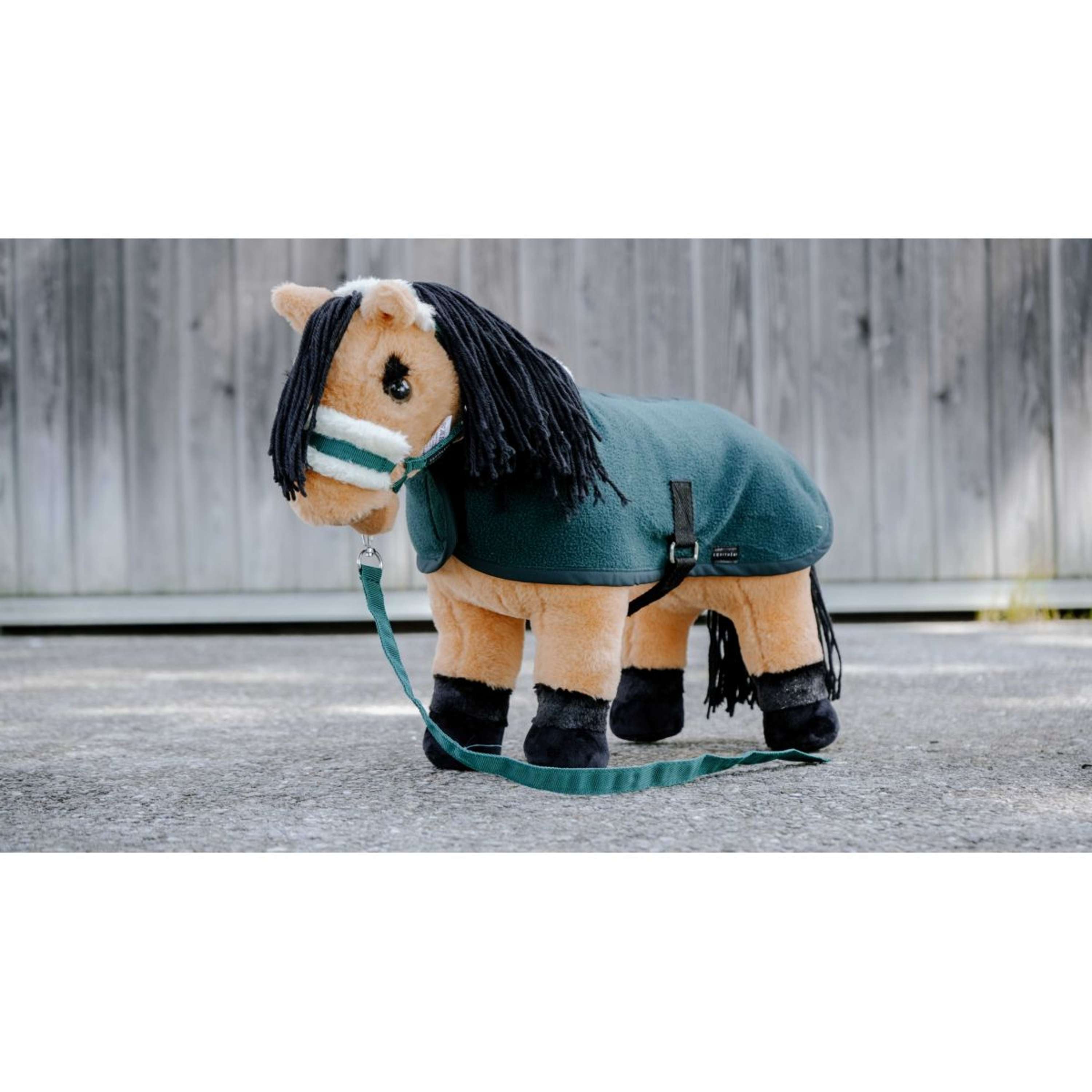 EQUITHÈME Pony Academy Head Collar Set Dark green