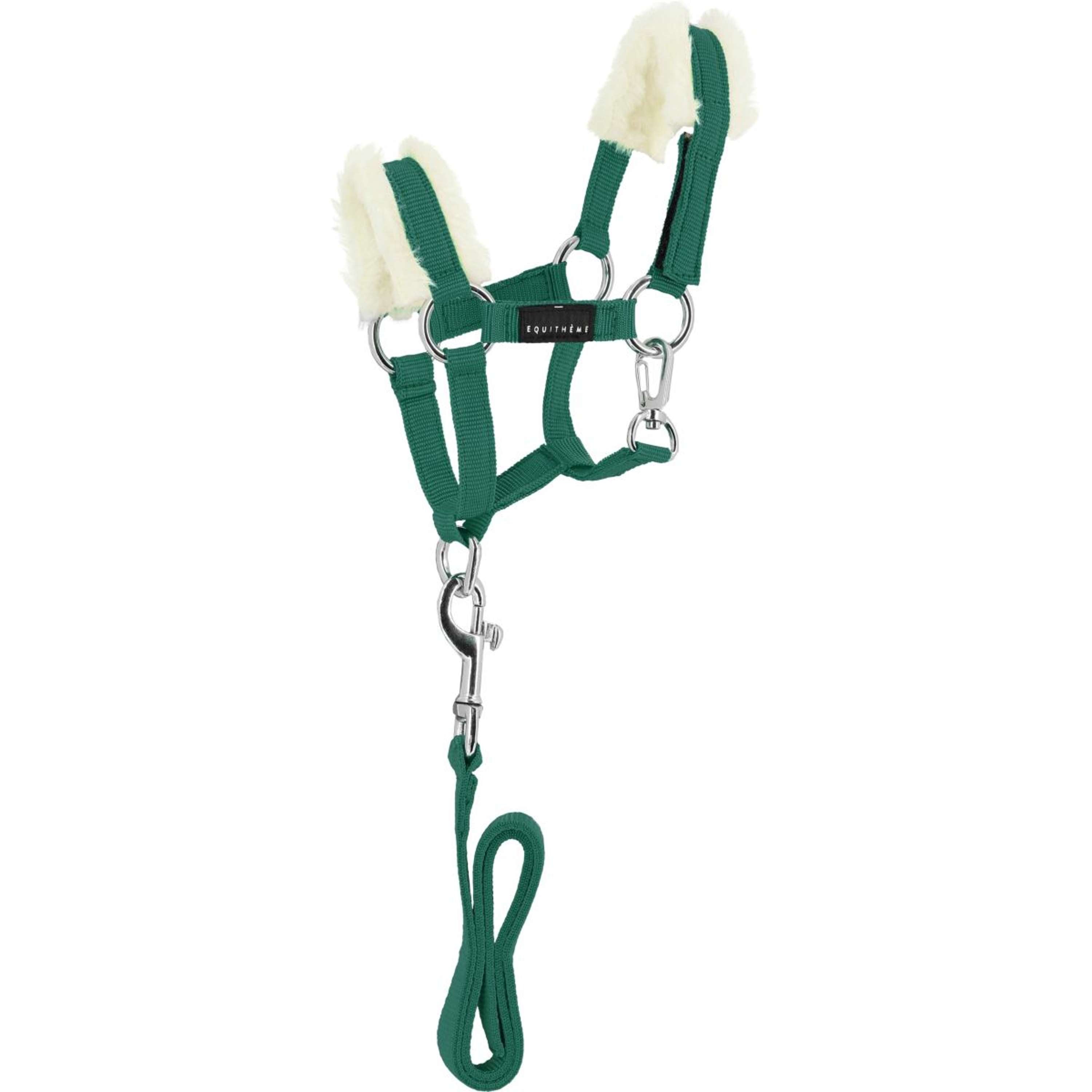 EQUITHÈME Pony Academy Head Collar Set Dark green