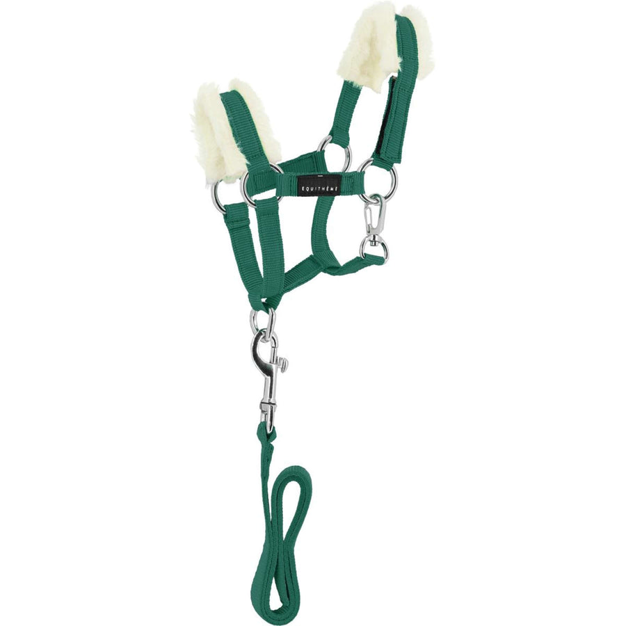 EQUITHÈME Pony Academy Head Collar Set Dark green