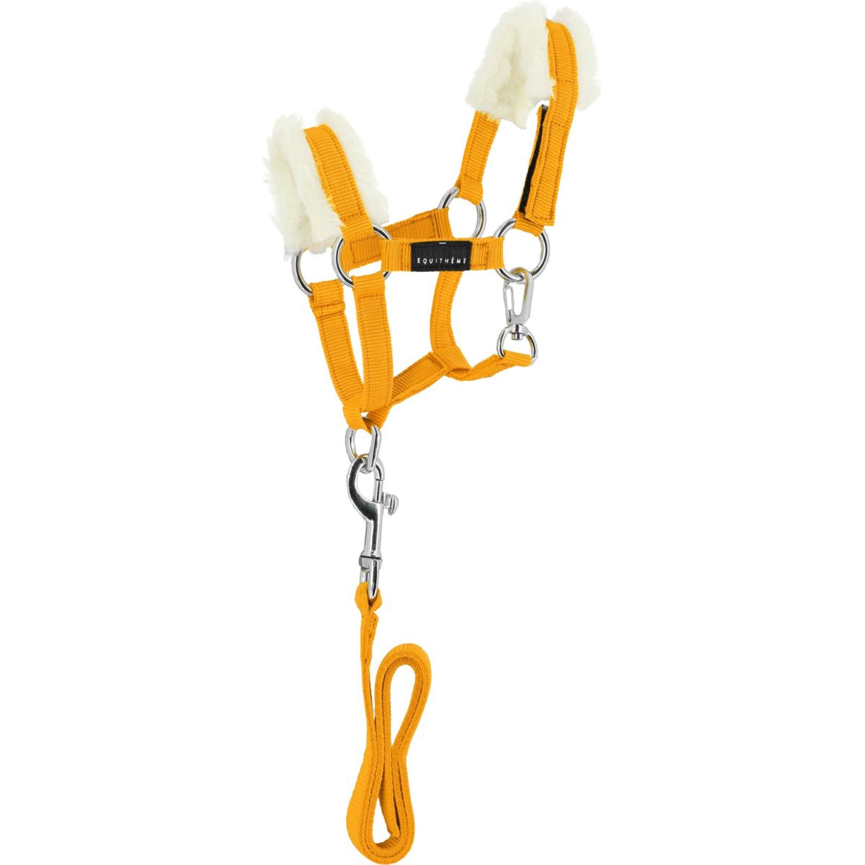 EQUITHÈME Pony Academy Head Collar Set Yellow