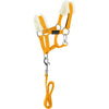 EQUITHÈME Pony Academy Head Collar Set Yellow