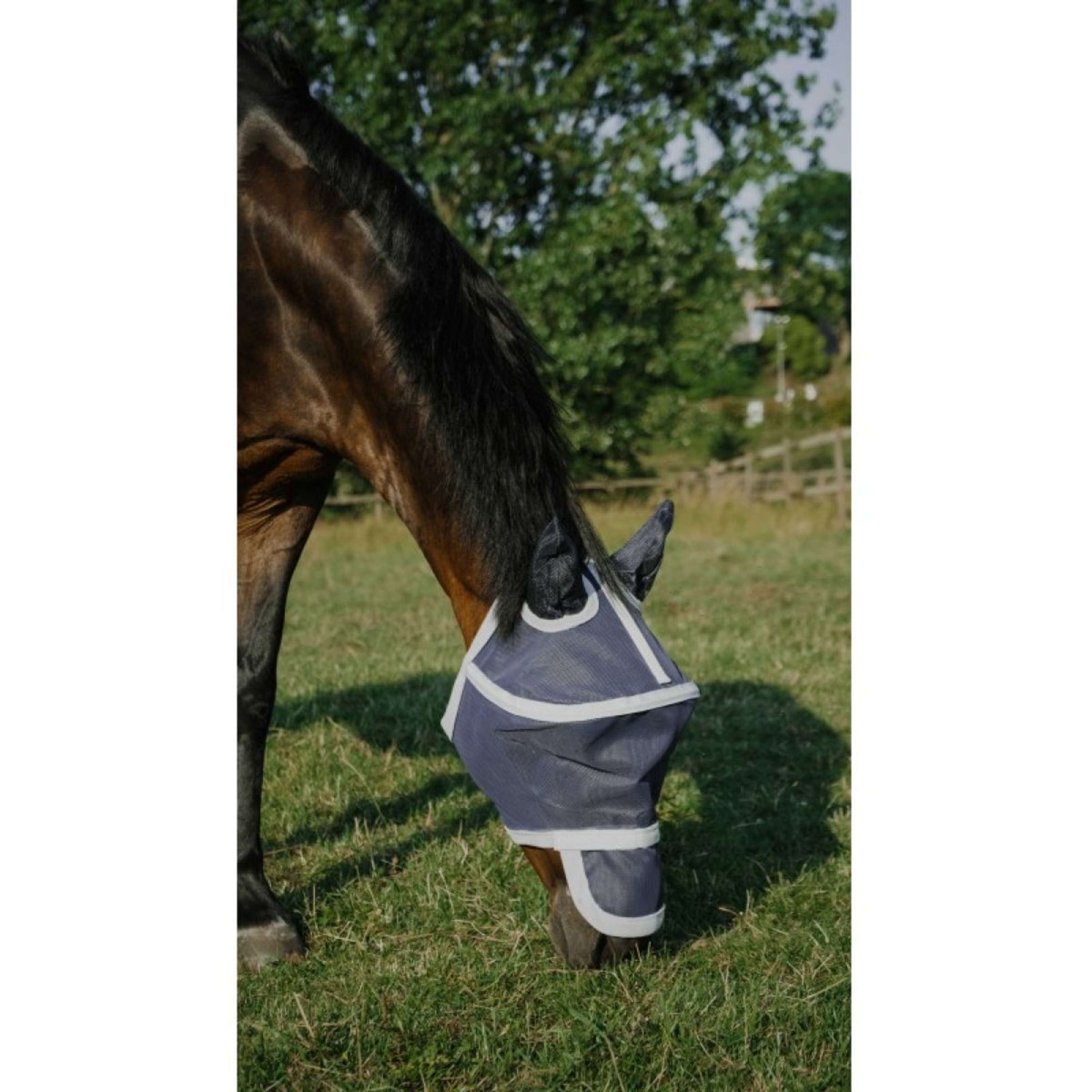 EQUITHÈME Fly Mask Hoop with UV Protection Navy
