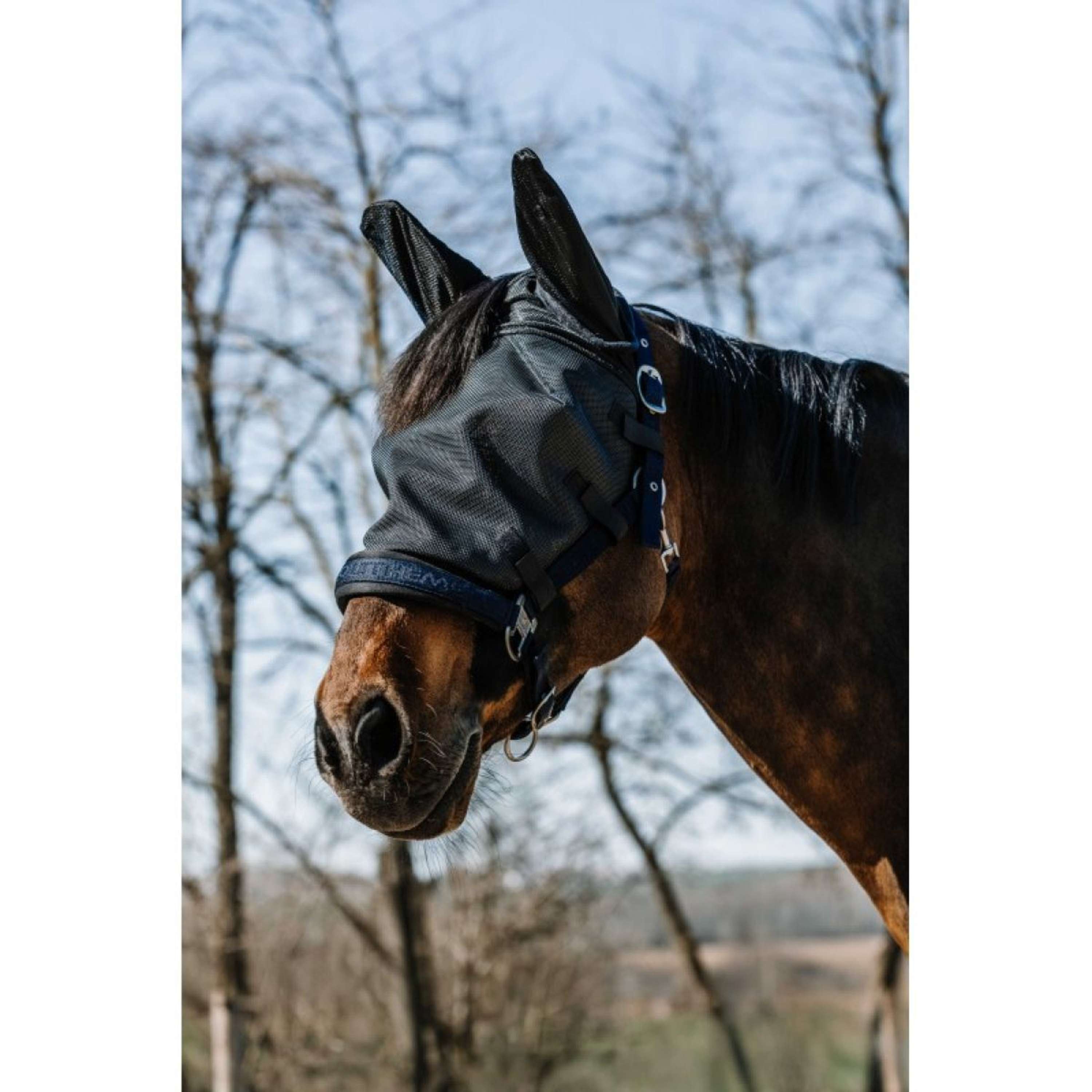 EQUITHÈME Fly Mask Halter with UV Protection Black