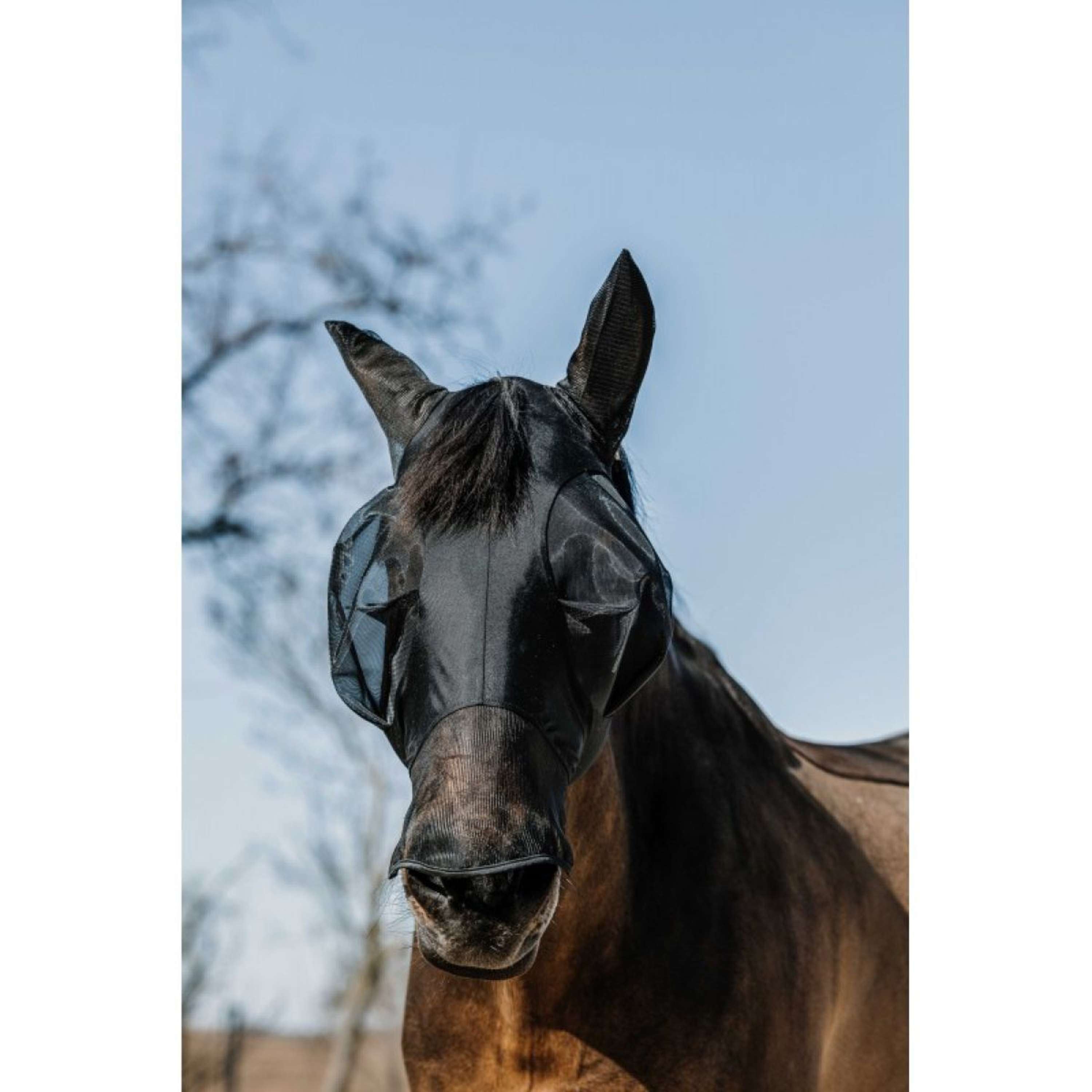 EQUITHÈME Fly Mask Lycra UV protection With Nose Protection Black