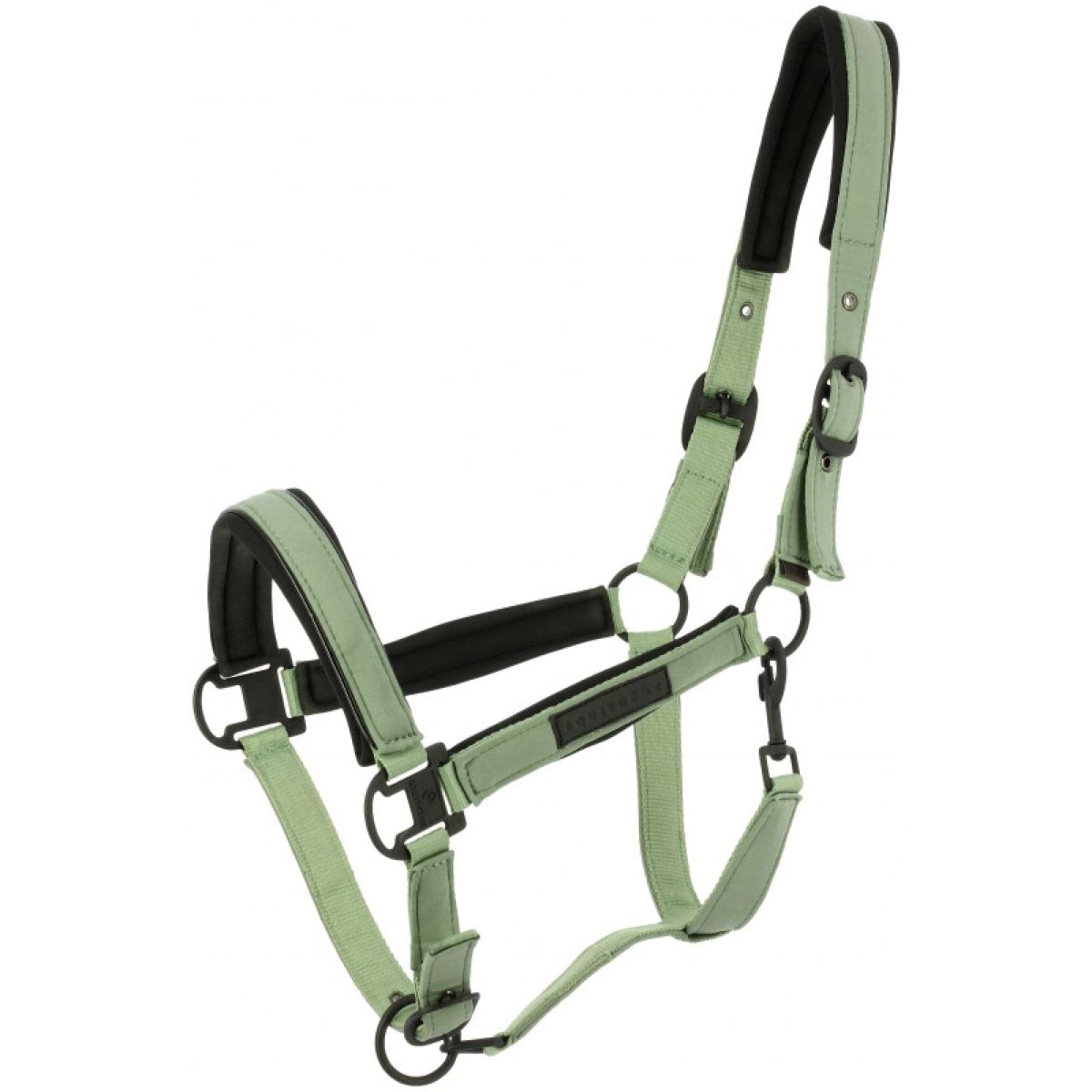 EQUITHÈME Halter Pearl Green