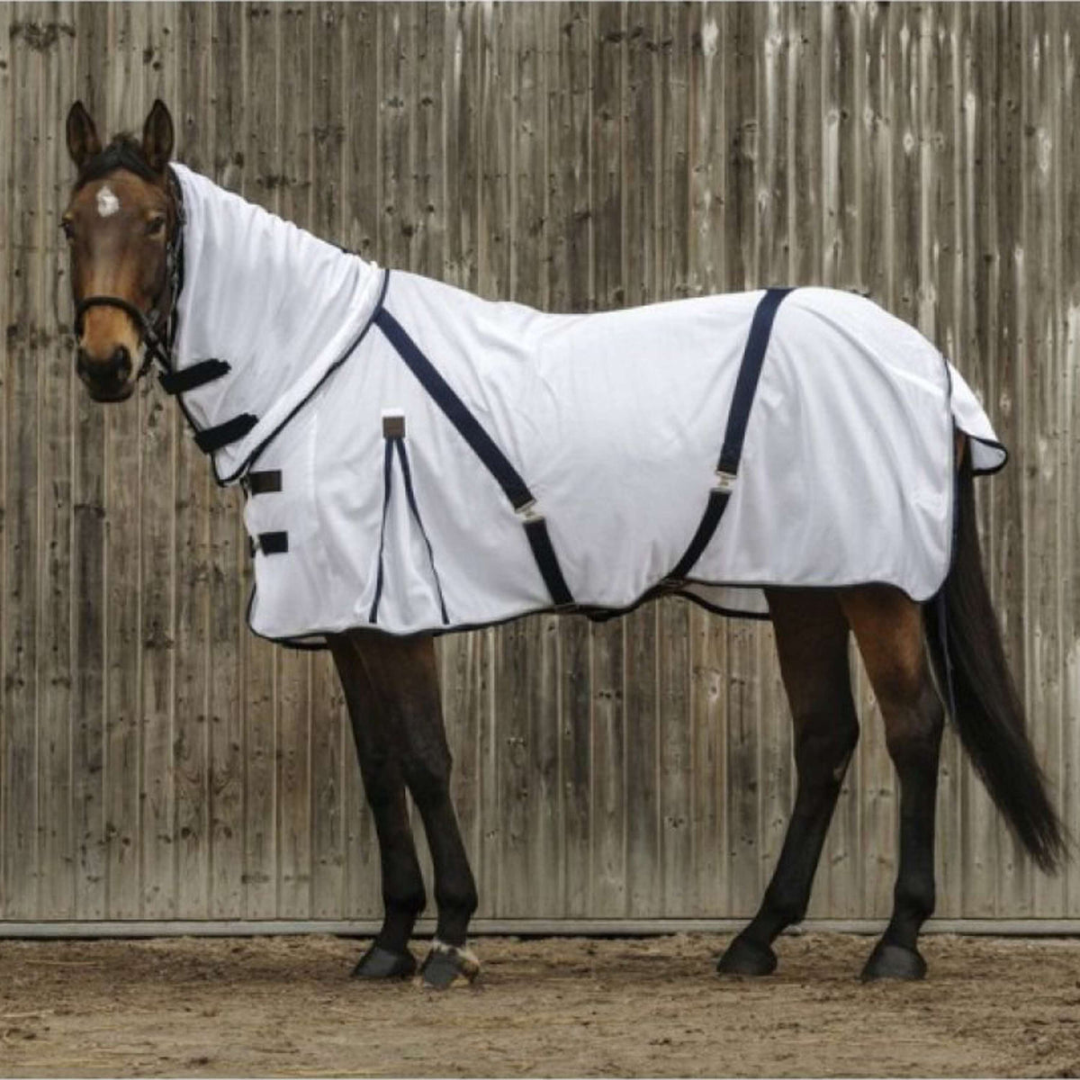 EQUITHÈME Fly Rug Mesh Summer White