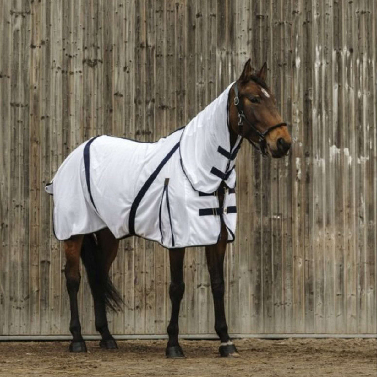 EQUITHÈME Fly Rug Mesh Summer White