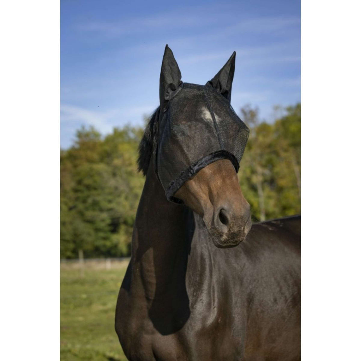 EQUITHÈME Fly Mask Anti-UV Resil Black