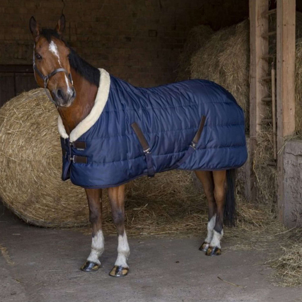 EQUITHÈME Stable Rug Teddy 200g Navy