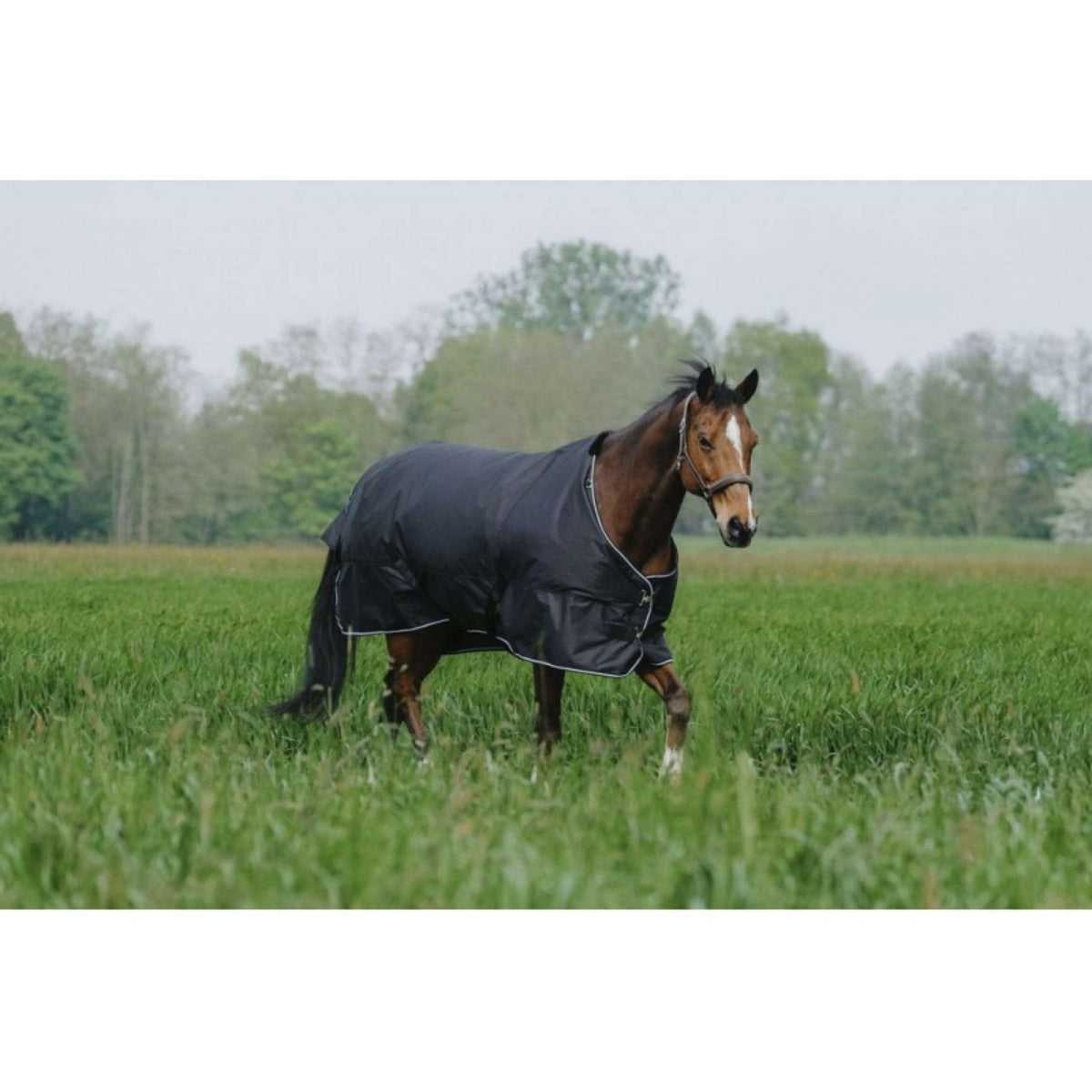 EQUITHÈME Outdoor Rug Tyrex 600D Standard 0g Black