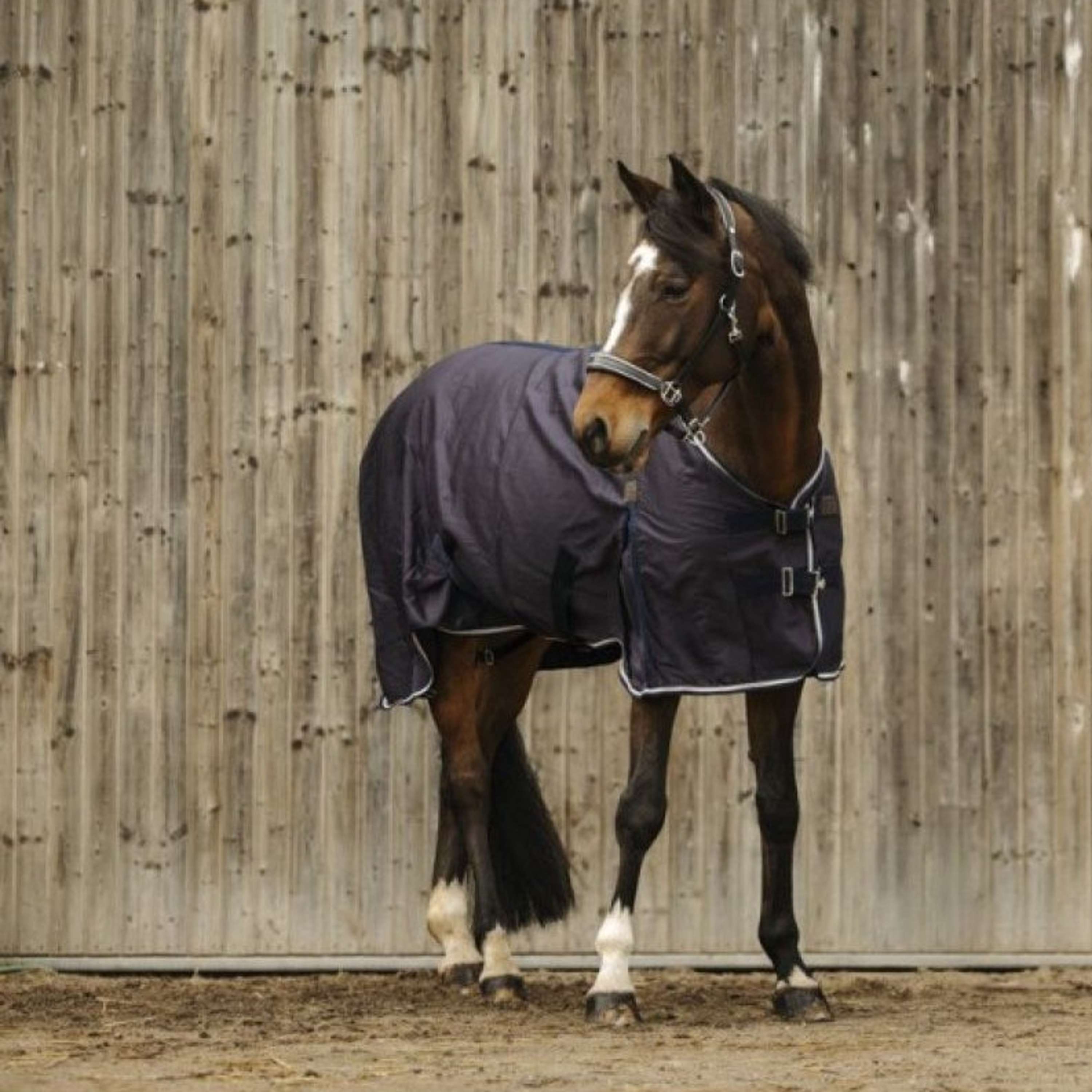 EQUITHÈME Summer Rug Vague Navy