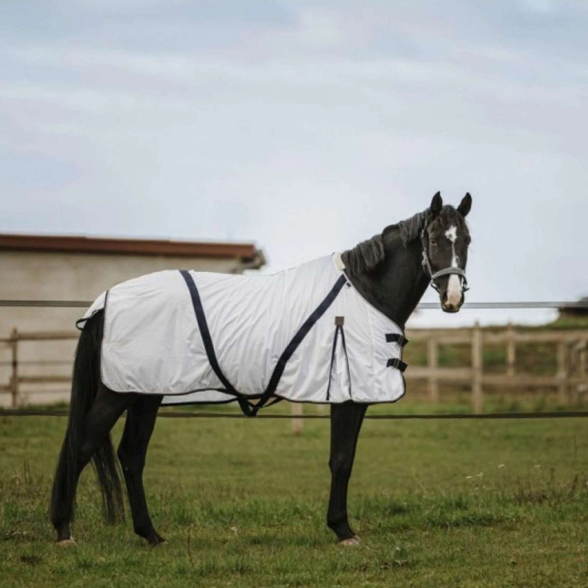 EQUITHÈME Fly Rug Mesh White