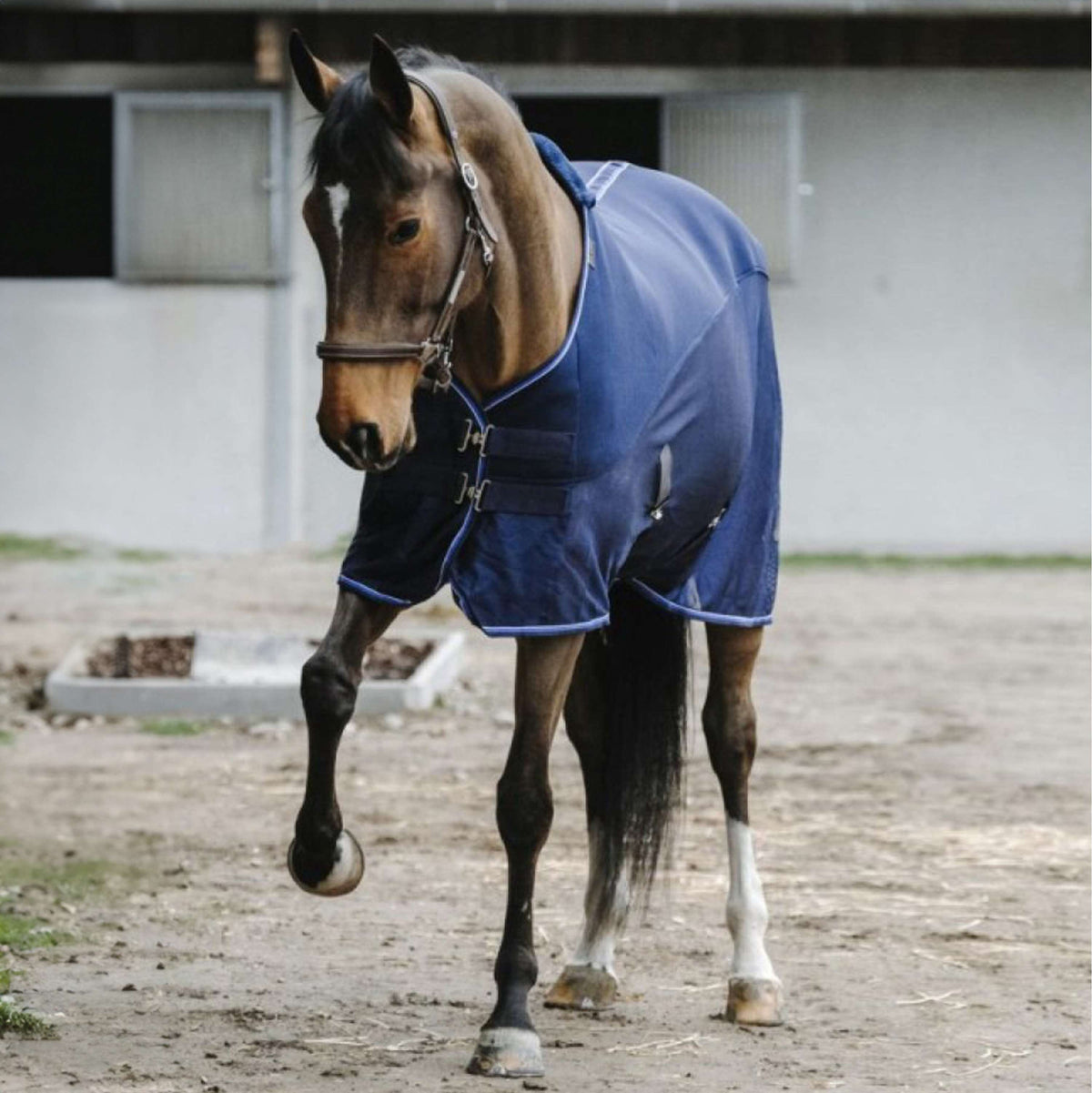 EQUITHÈME Fly Rug Classic 3D Mesh Navy