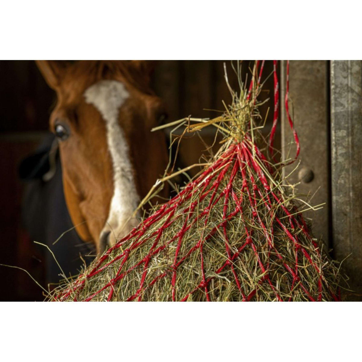 Hippotonic Hay Net Zari Red/Silver