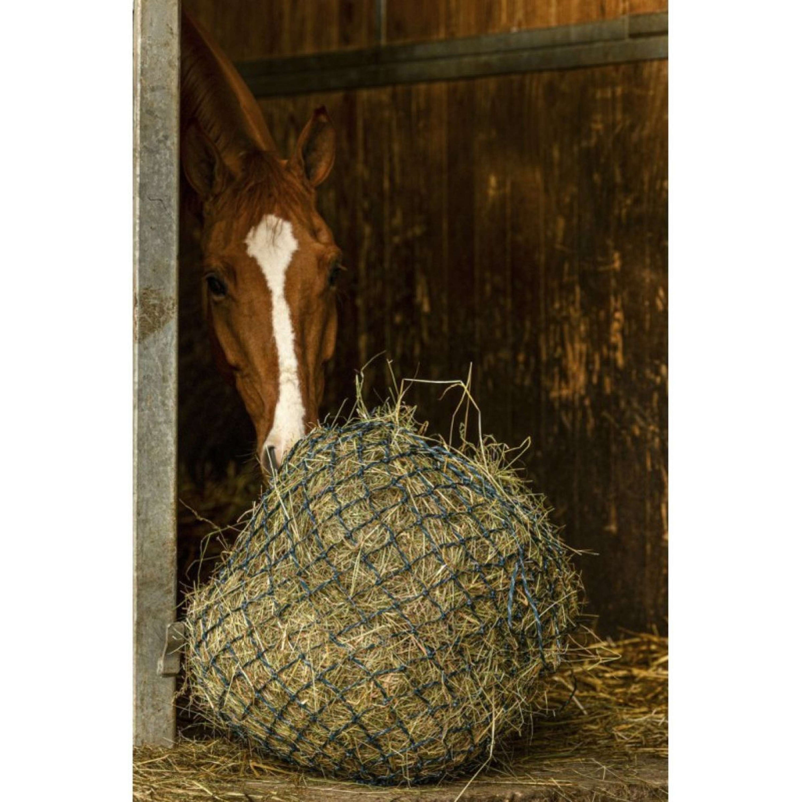 Hippotonic Hay Net Zari Green/silver