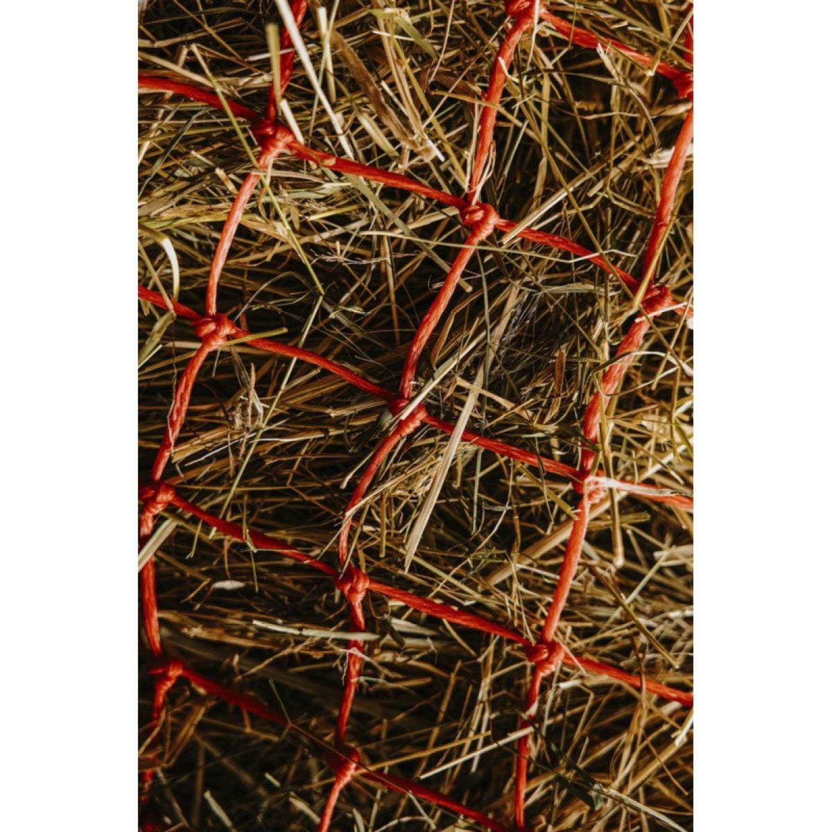 Hippotonic Hay Net Long Red