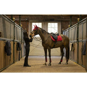 Lami-Cell Tendon Protectors and Fetlock Boots Burgundy