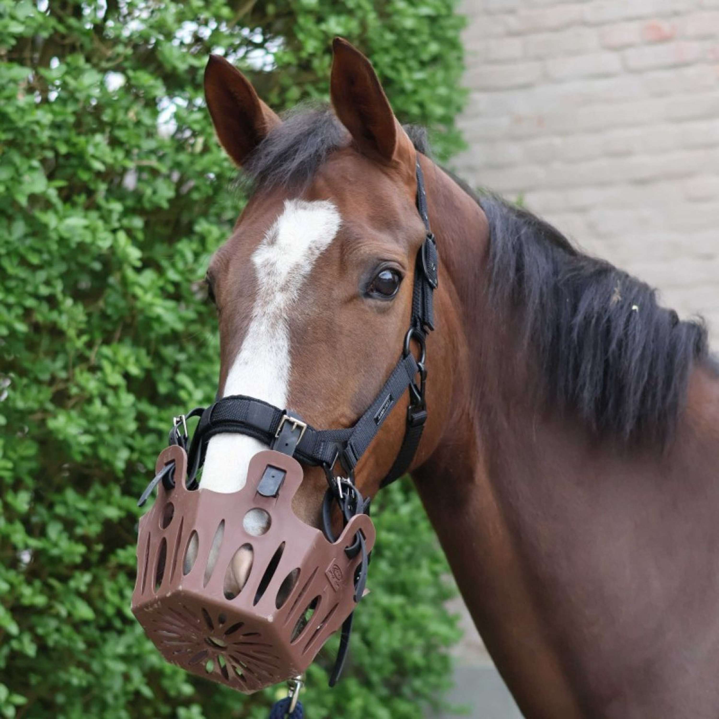 Lami-Cell Grazing Mask 25mm Chocolate