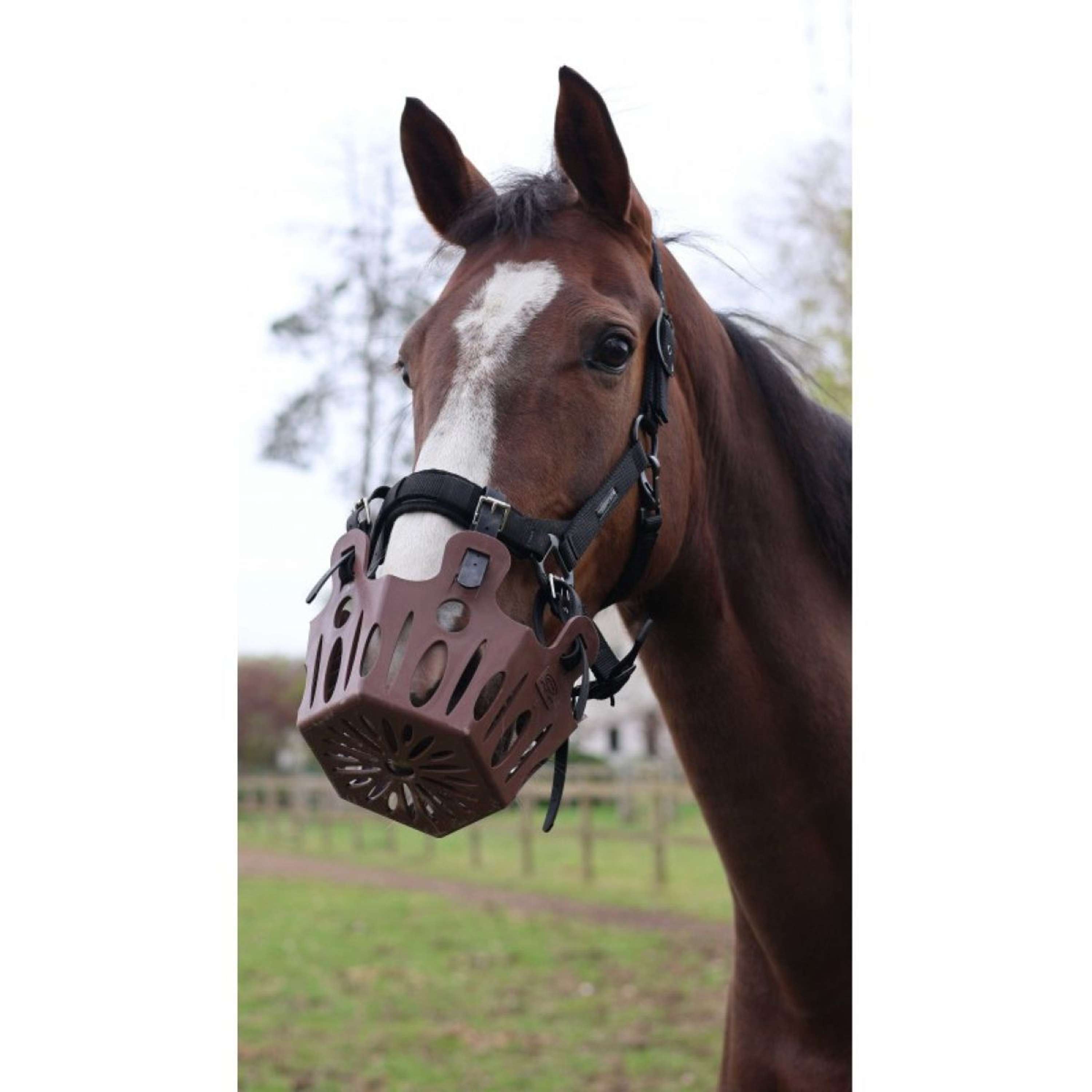 Lami-Cell Grazing Mask 25mm Chocolate