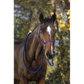 Norton Riding Halter with Reins Royal Blue