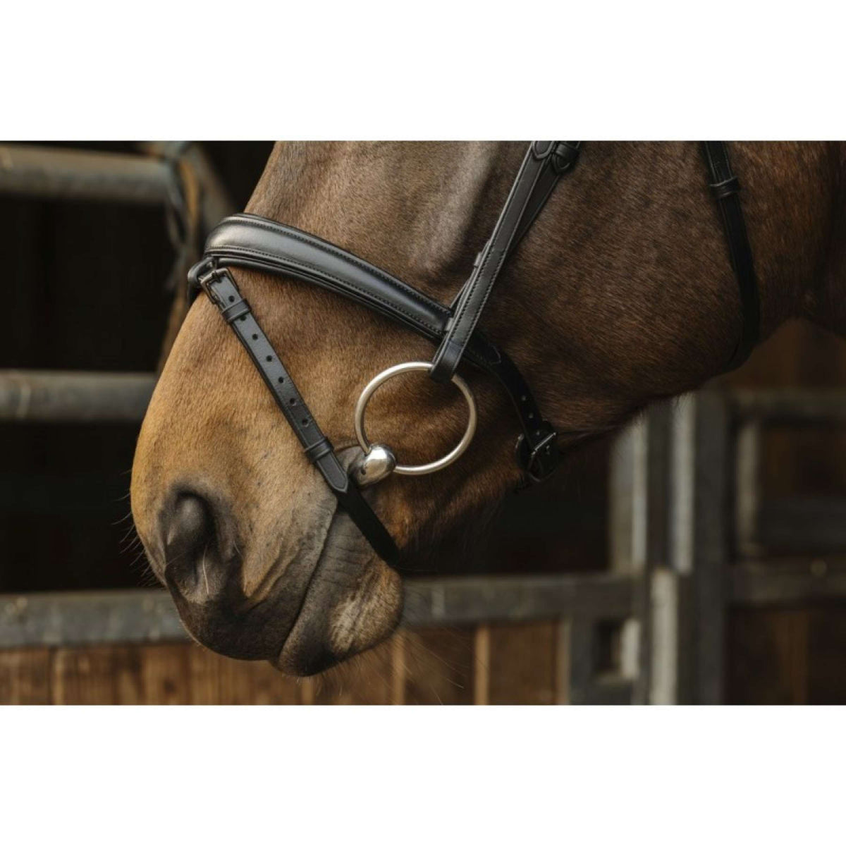 Norton Bridle Dark Black