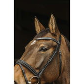 Norton Bridle Galon Black