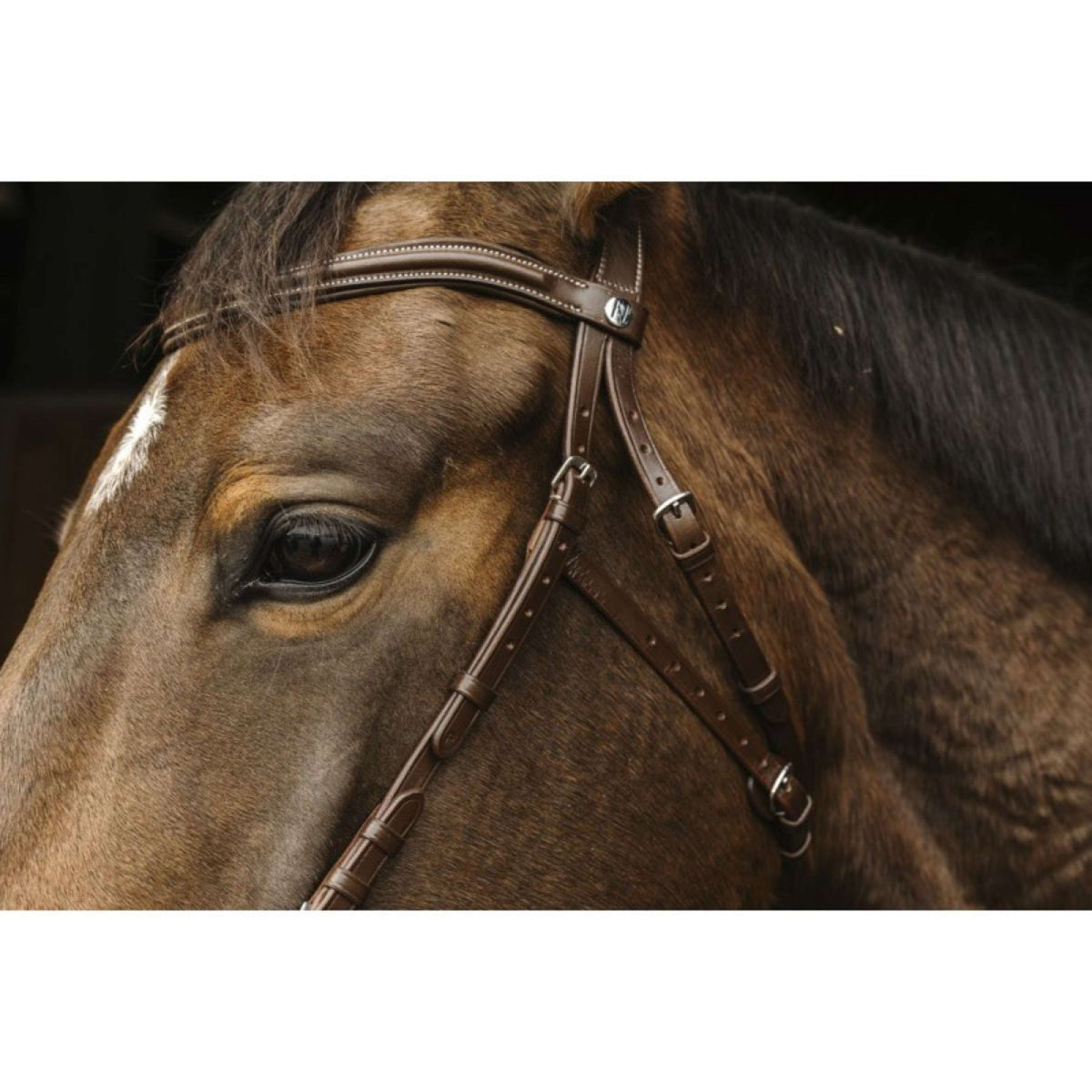 Norton Hackamore Bridle Havana