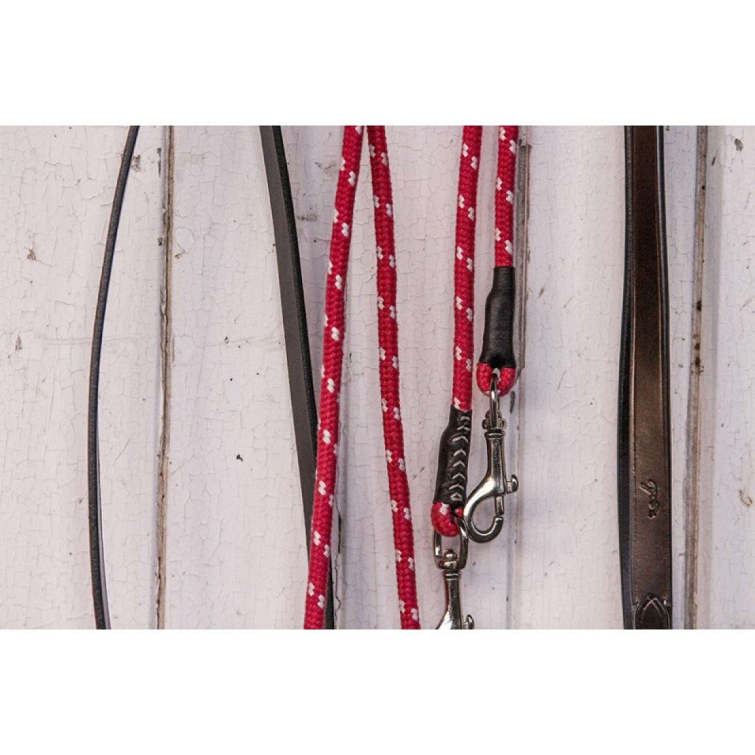 Pénélope Draw Reins Leather/Rope Black