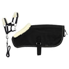 EQUITHÈME Show Rug Set Mini Pony Academy Black Glitter