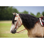 Westride Bridle Two Tone Hazel/Natural