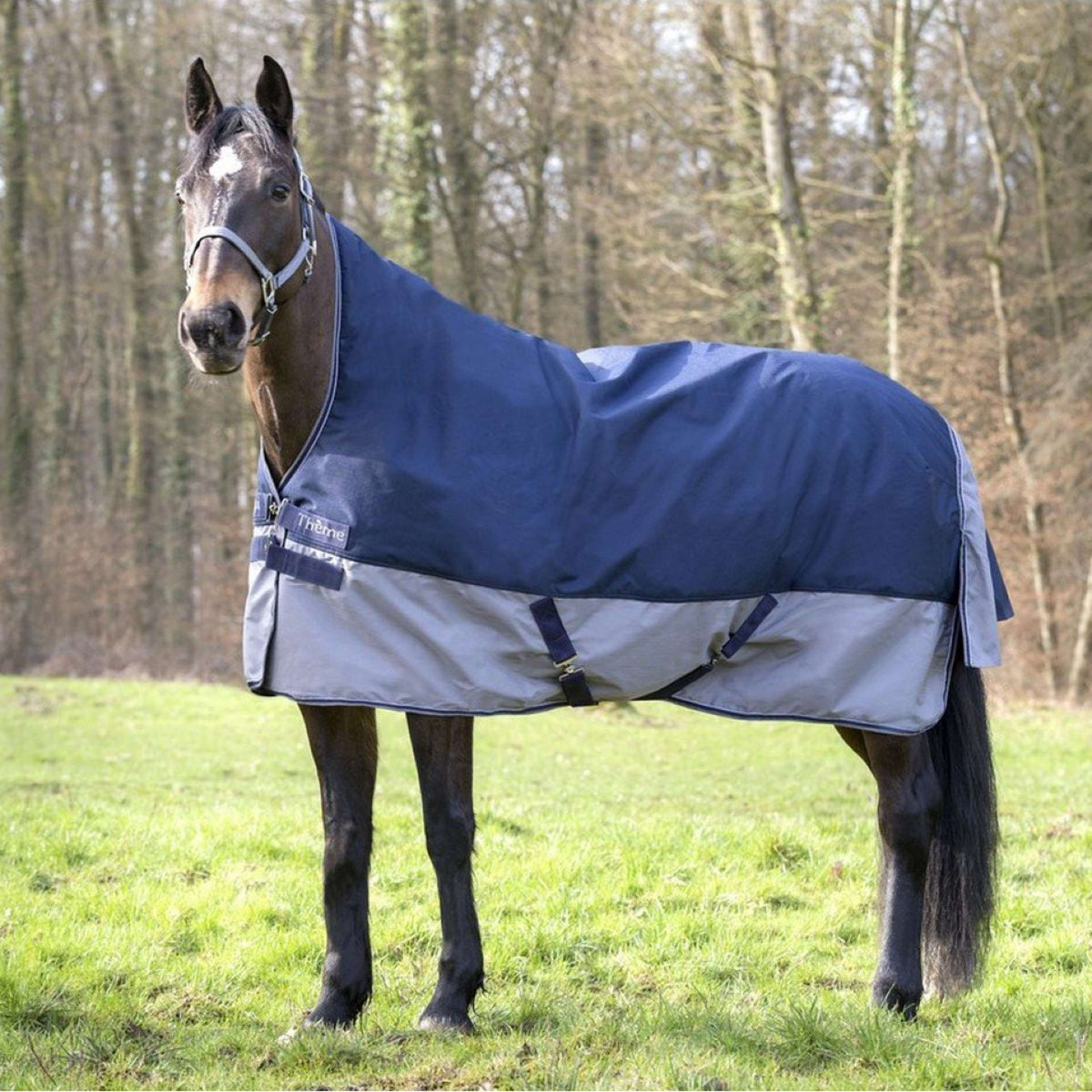 EQUITHÈME Turnout Rug Tyrex High Neck 600D 150g Navy/Grey Dots