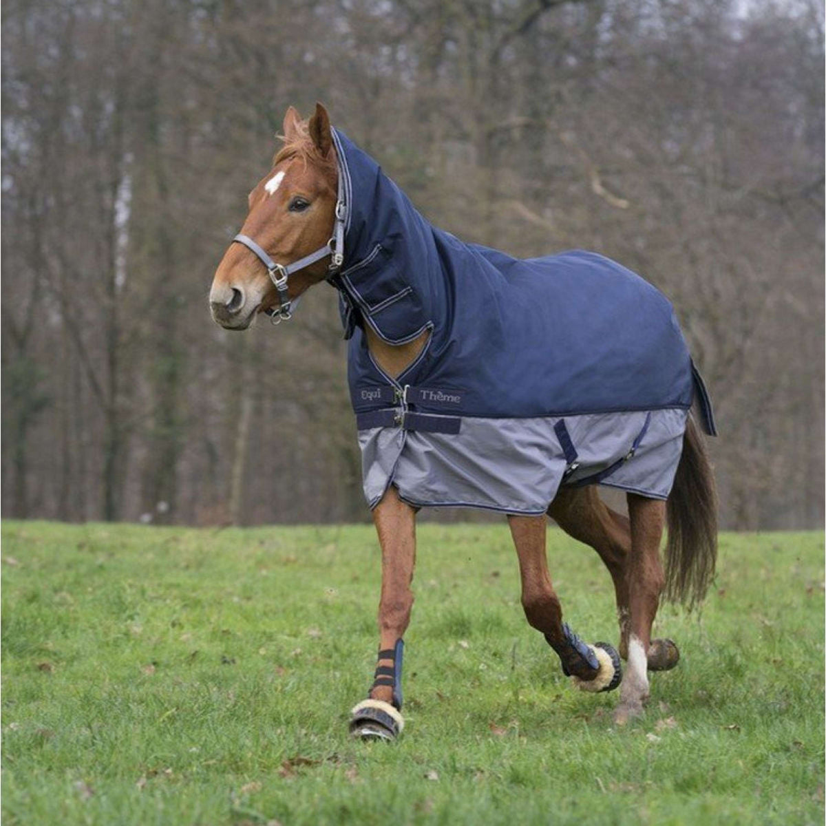 EQUITHÈME Turnout Rug Tyrex Combo 600D 0g Marine/Grey